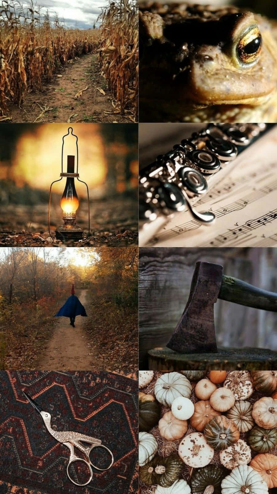 Download Follow Wirt and Greg on an