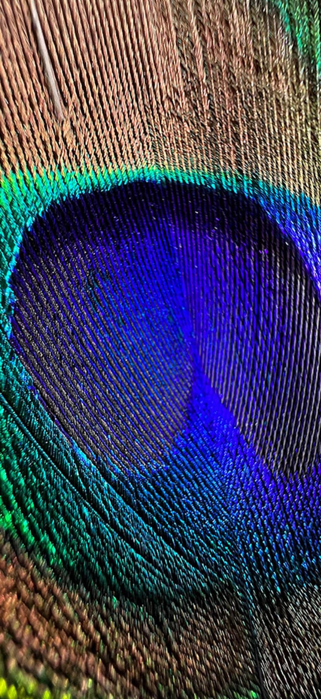 Ceramic Shield Ad Wallpaper, r