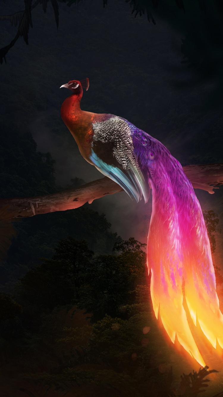 Peacock Wallpaper 4K, Mythical, Digital Art