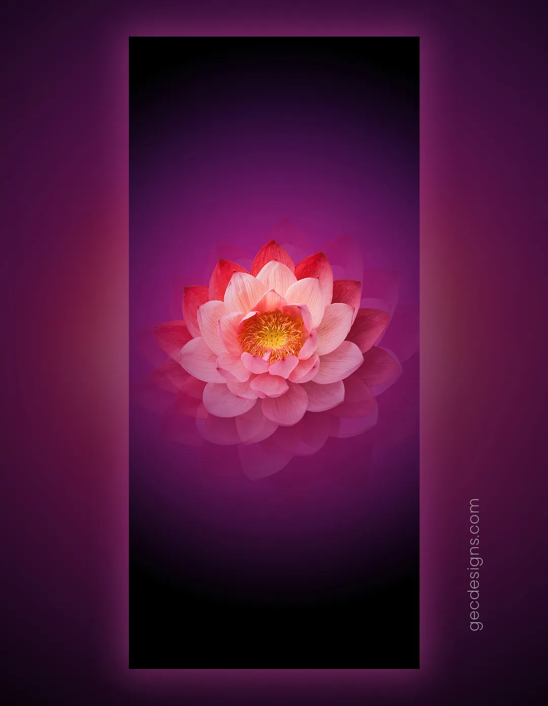 Lotus Flower Phone Wallpapers - Wallpaper Cave