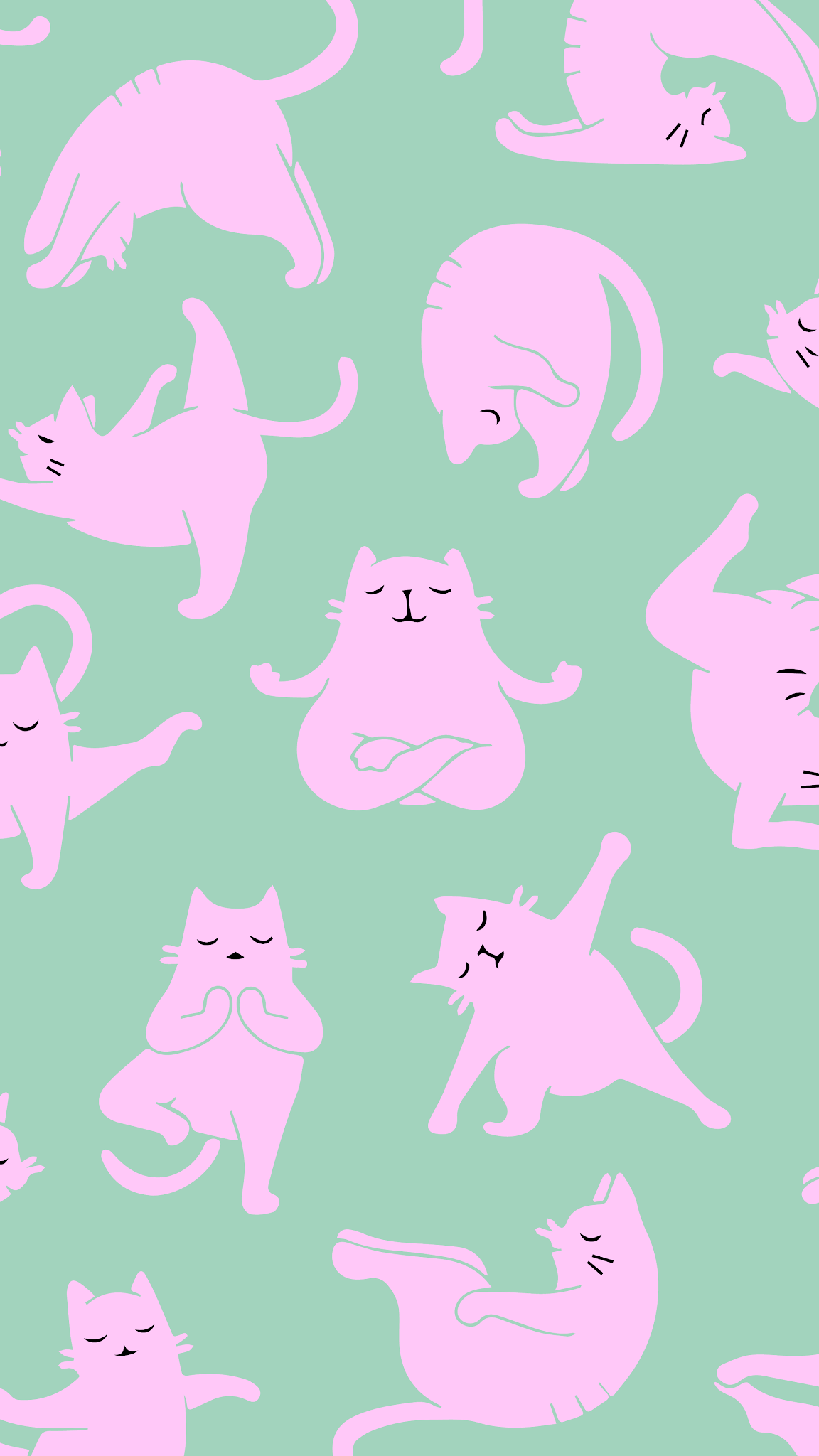 iPhone wallpaper 4k cat yoga