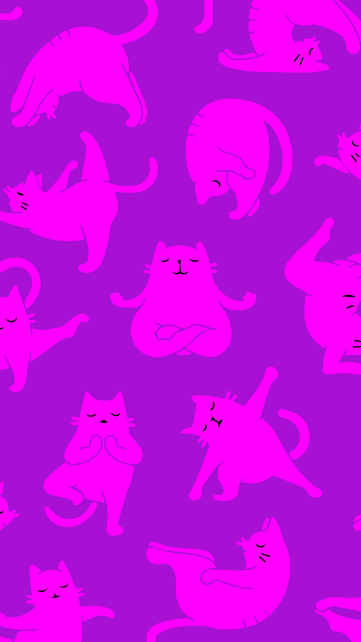 iPhone wallpaper 4k cat yoga