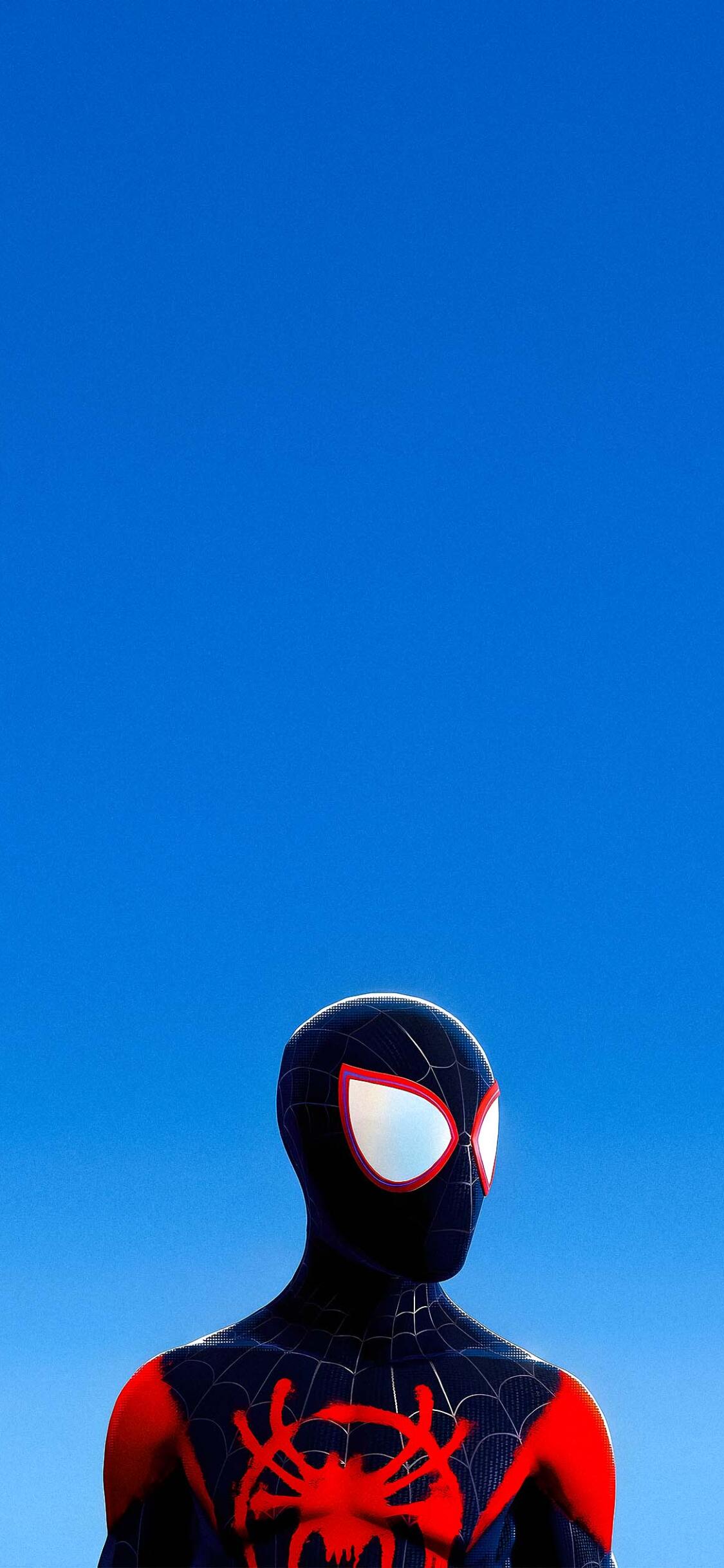 Spiderman HD Phone Wallpaper