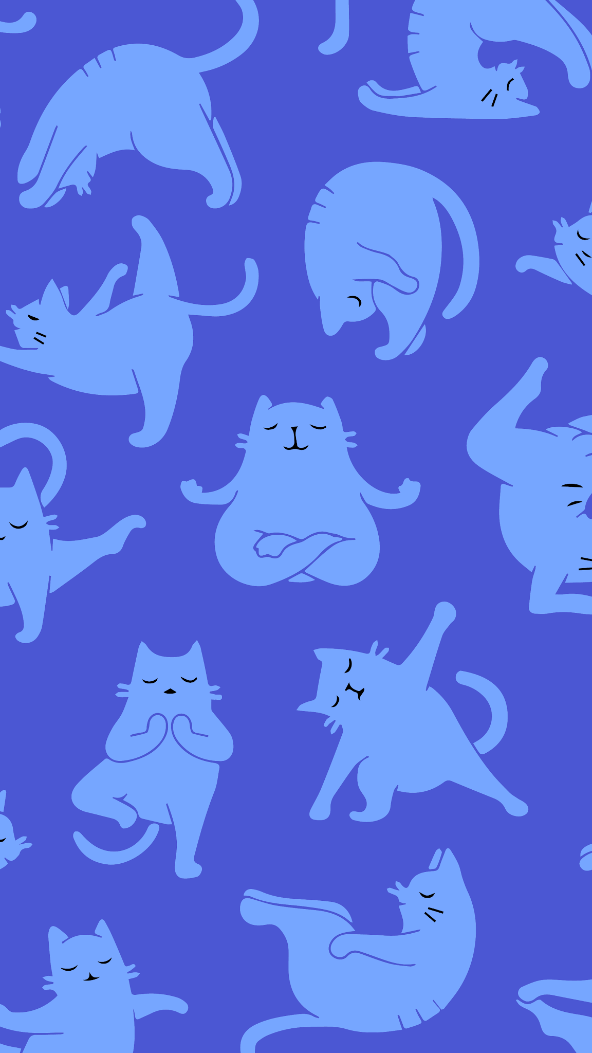 iPhone wallpaper 4k cat yoga