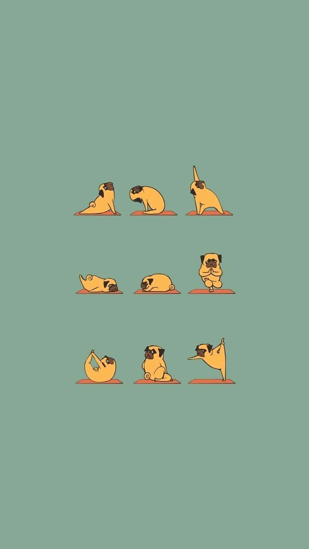Pug Yoga Positions Wallpaper
