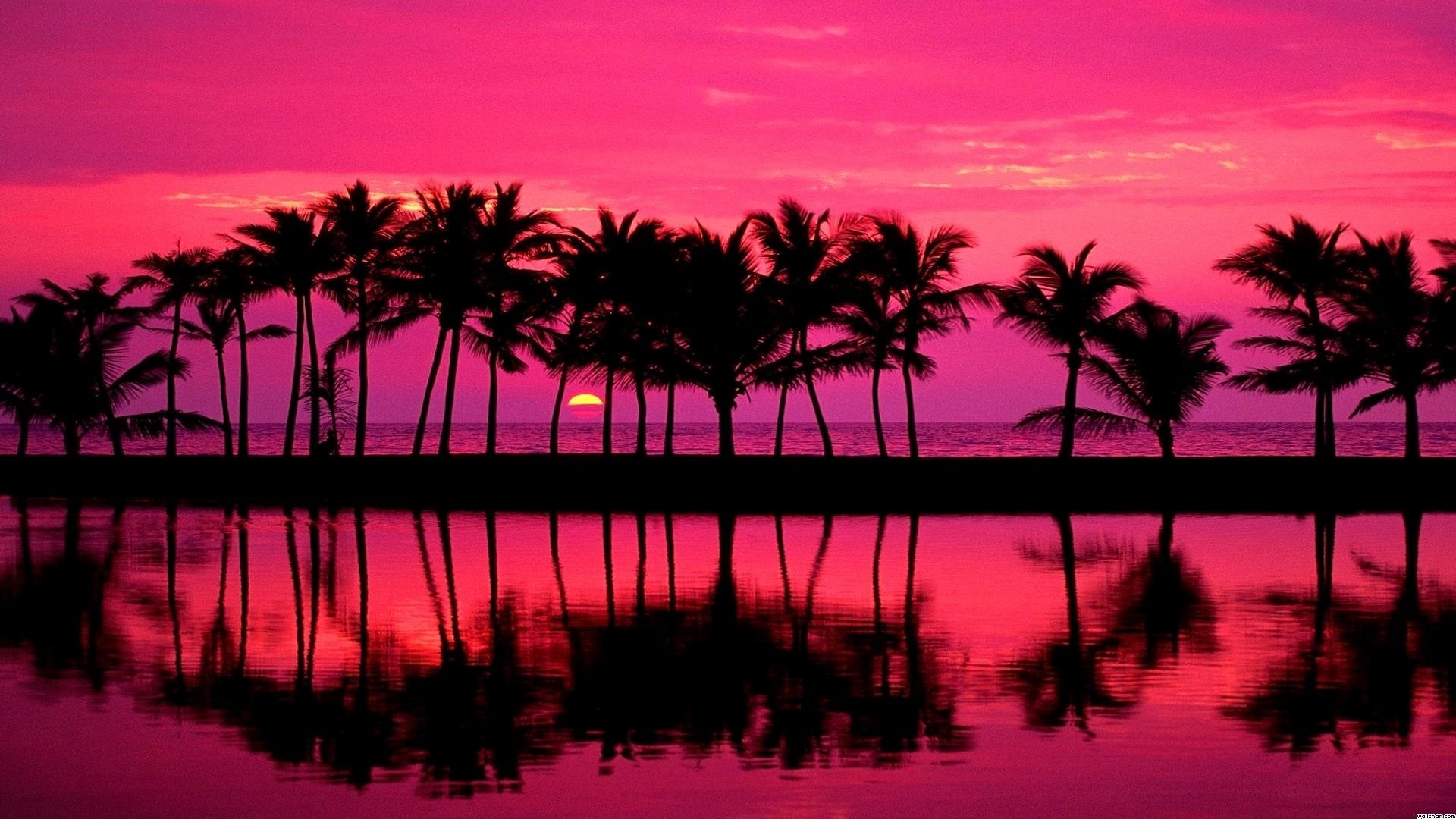 Beautiful Pink Beach Sunset 1920x1080