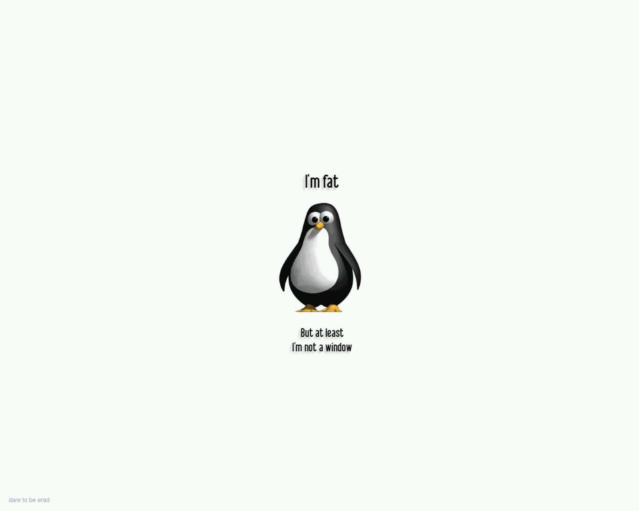 Penguin Humor_ Funny