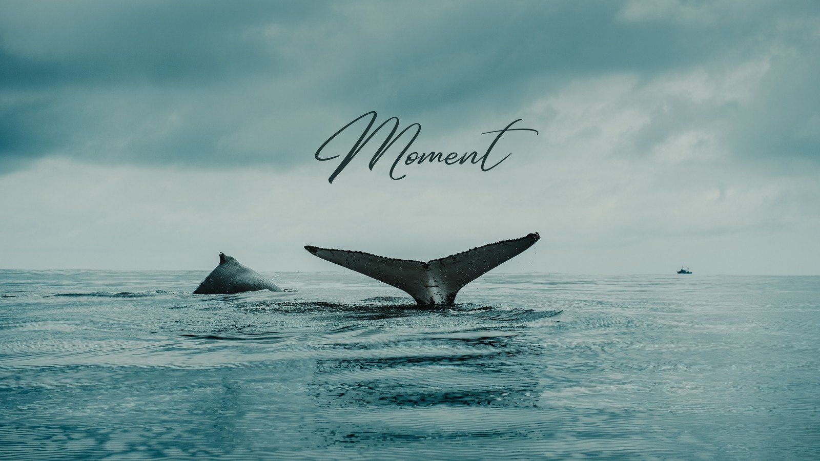 nature desktop wallpaper