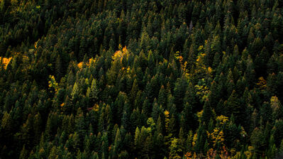 Nature HD 4K Wallpaper PC & Phone