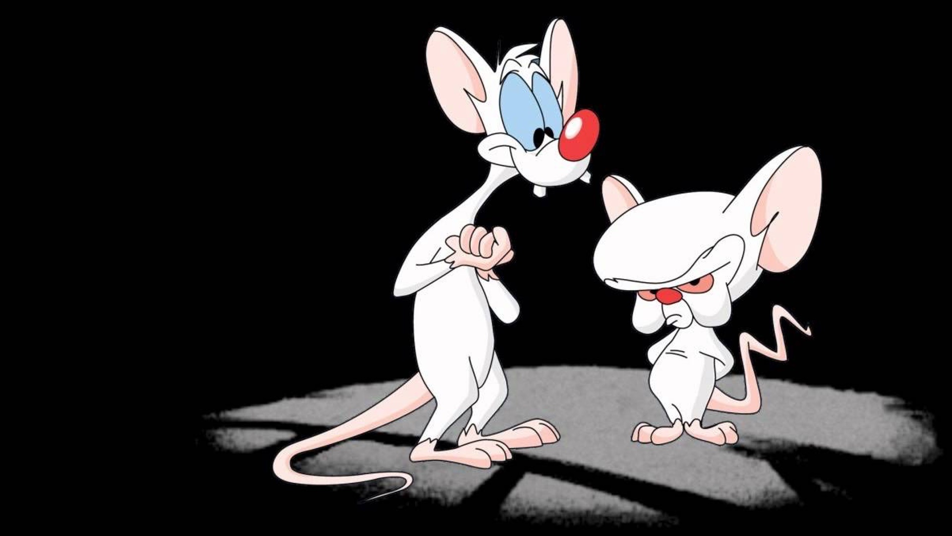 Pinky and the Brain Wallpaper 32