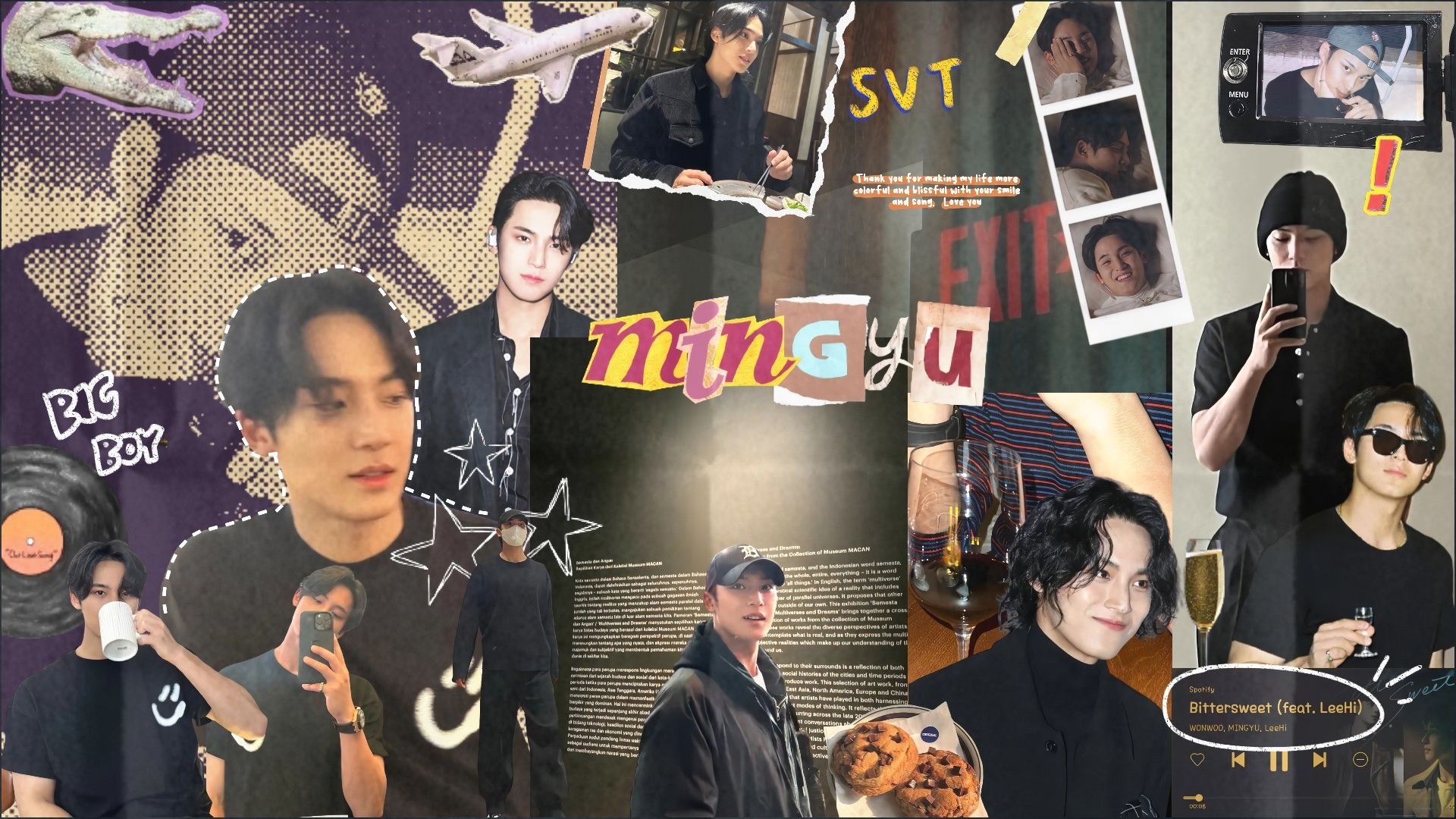 Mingyu Scrapbook