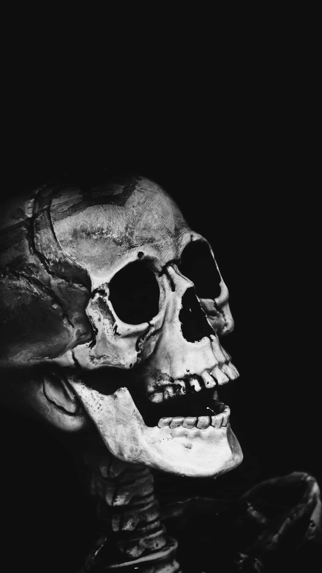 Skull Phone Wallpaper