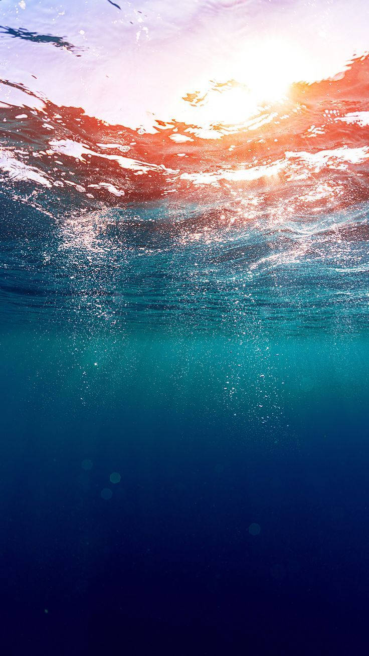 Underneath Ocean Surface Phone