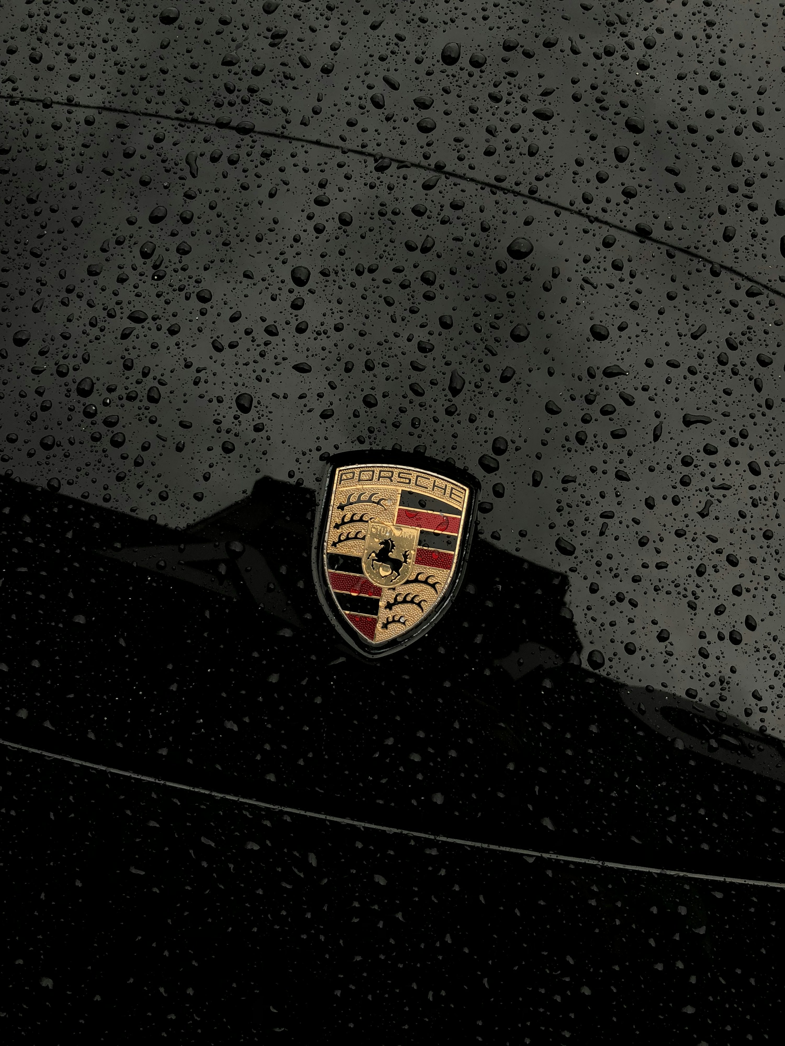 Porsche Logo Picture. Download Free Image