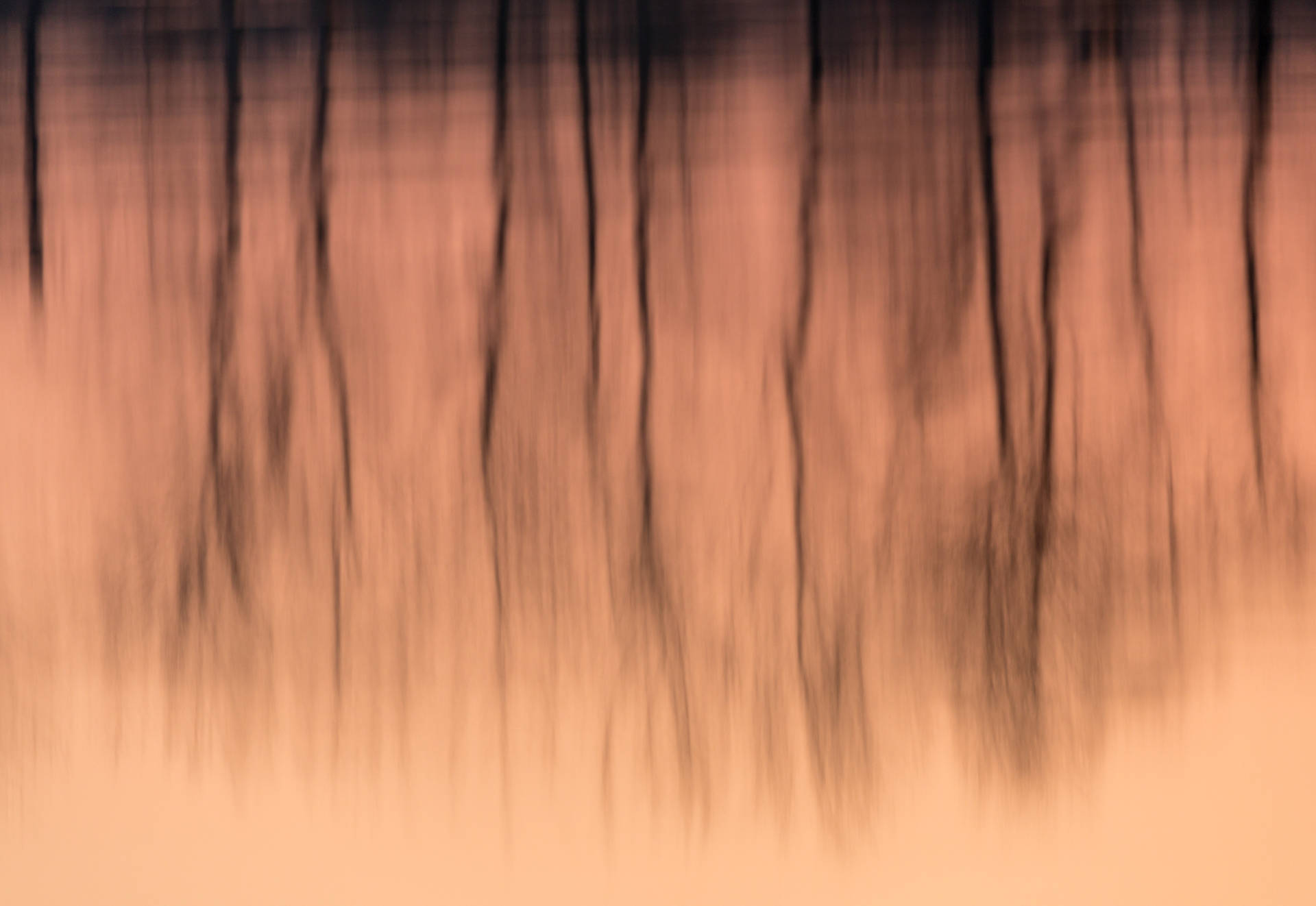 Download Gradient Wallpaper