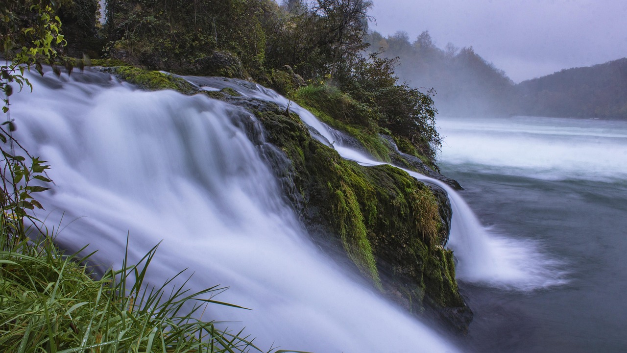 Free Rheinfall & Rhine Falls Image