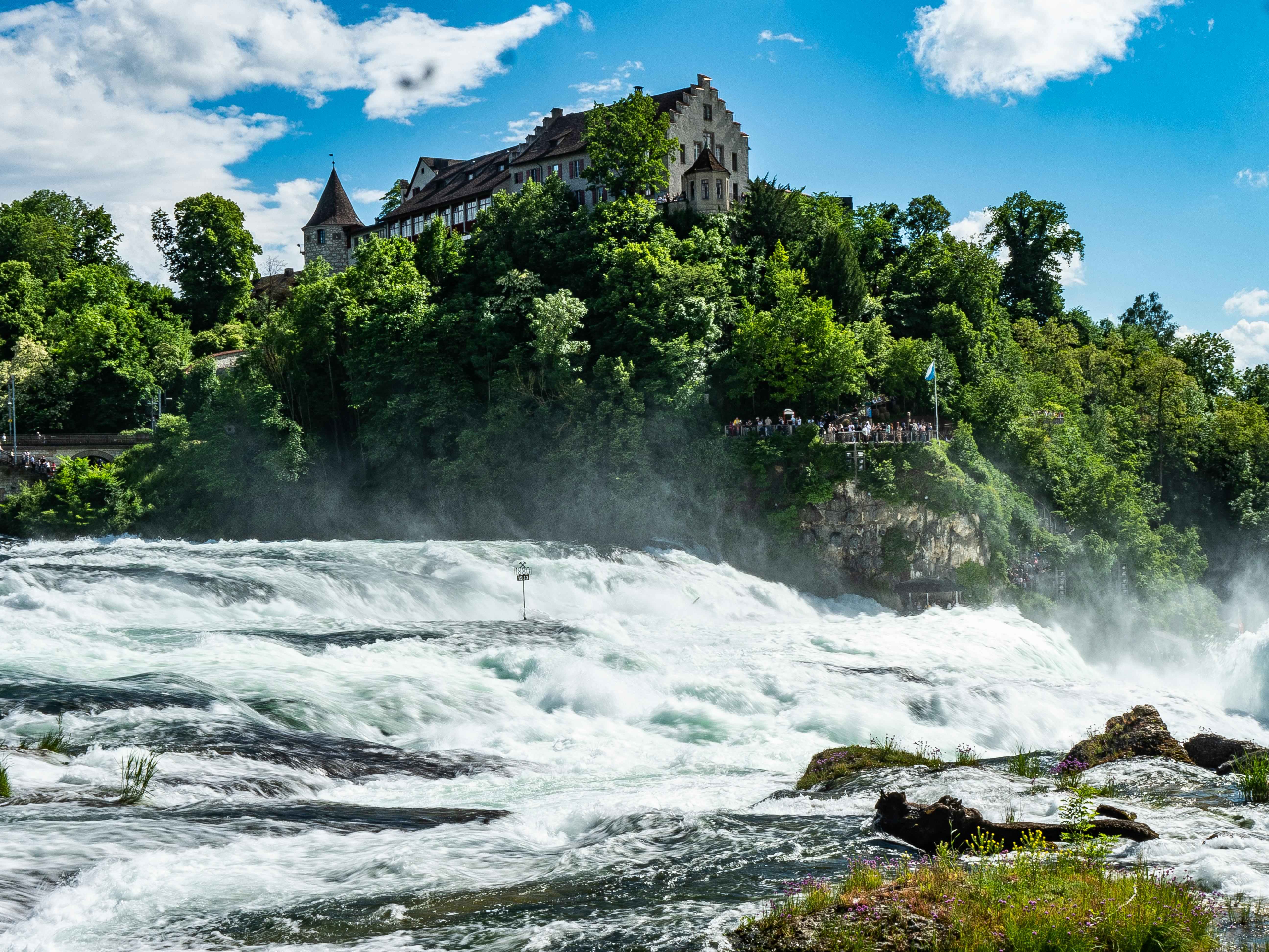 View of the Rheinfall