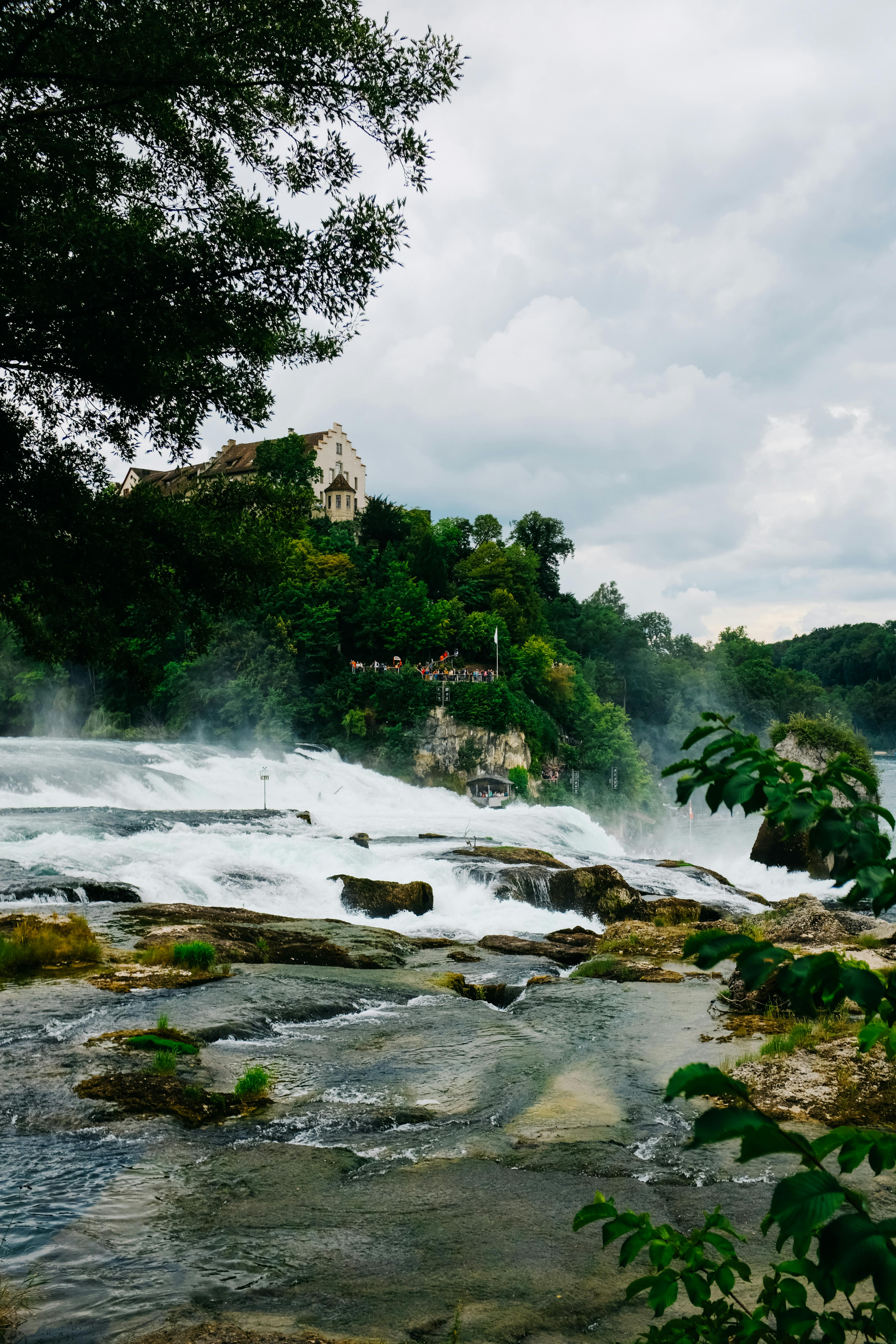 View of the Rheinfall