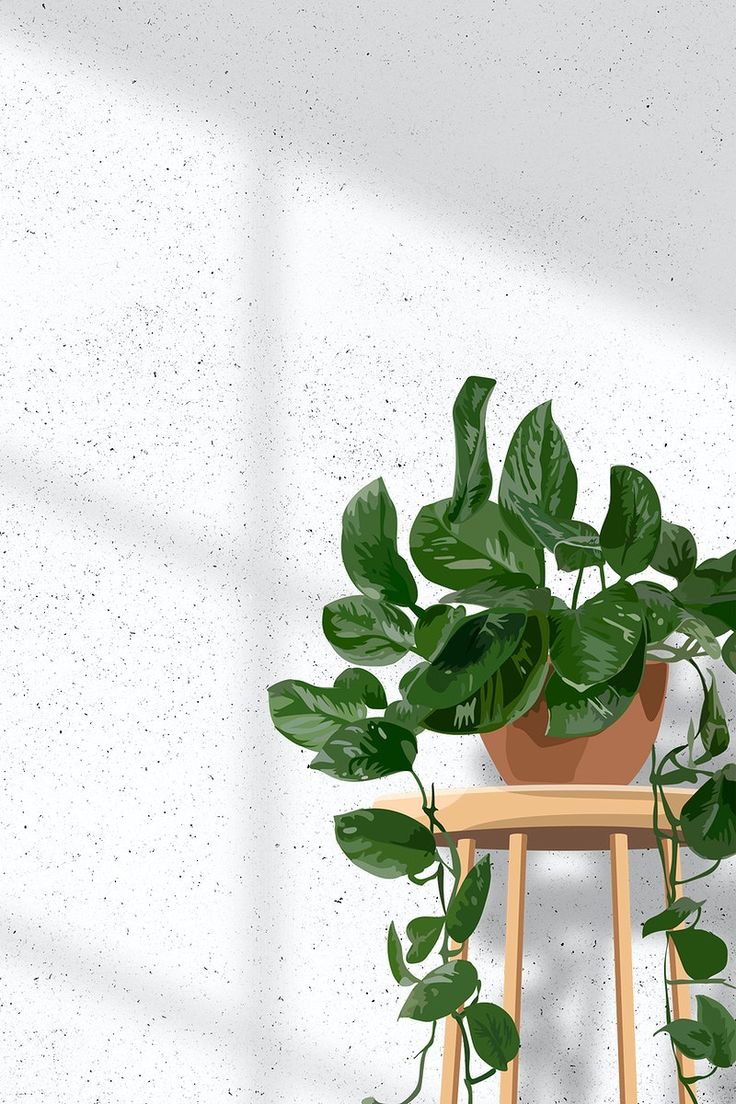 Download premium vector of Indoor plant