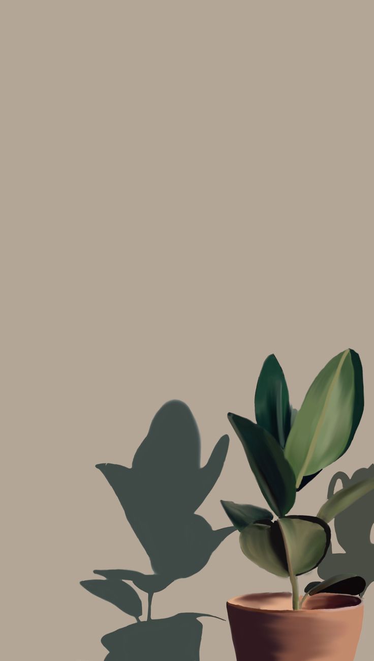 Aesthetic plant wallpaper. Cute flower