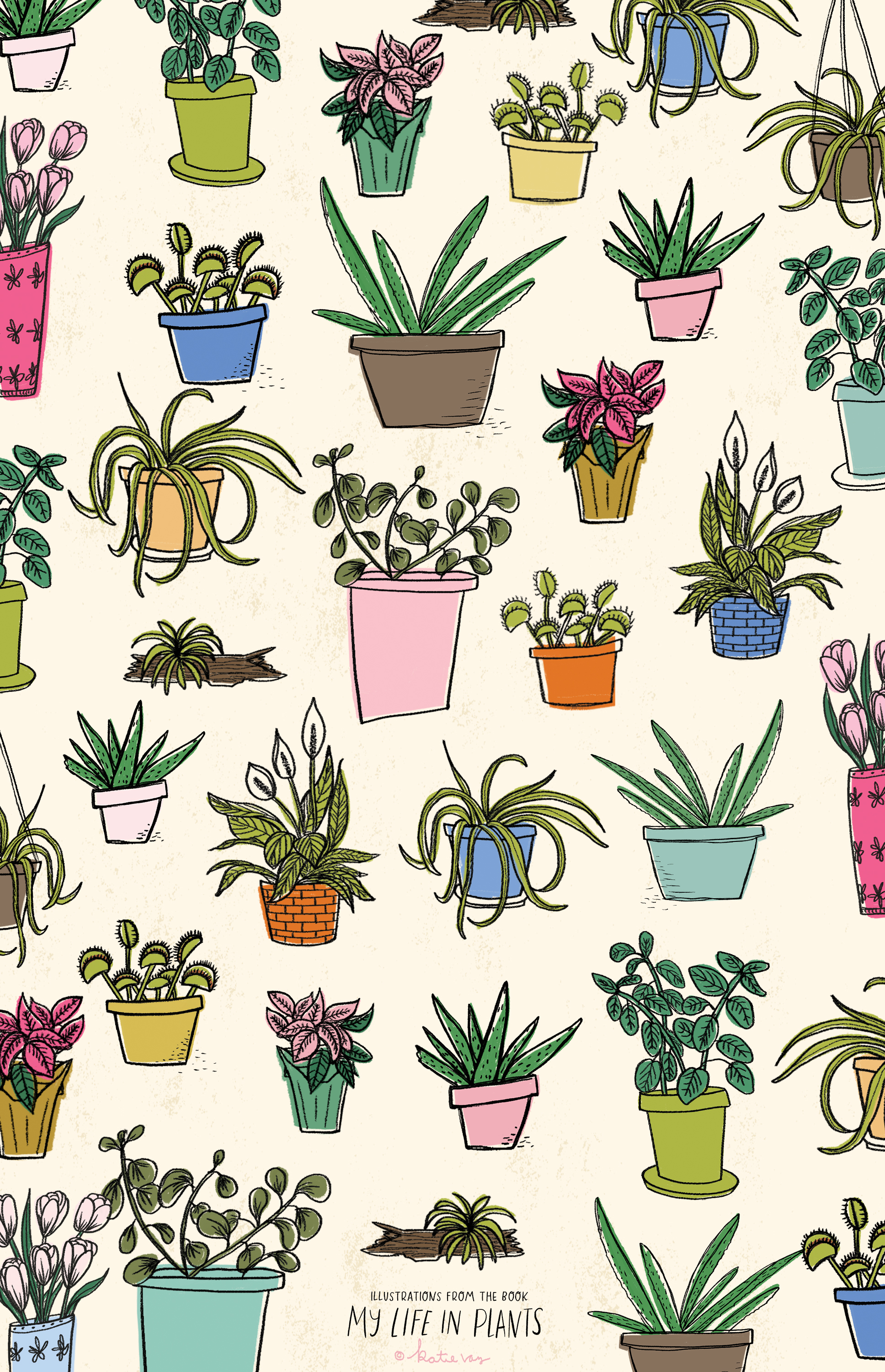 A Plant Freebie For You Days Left