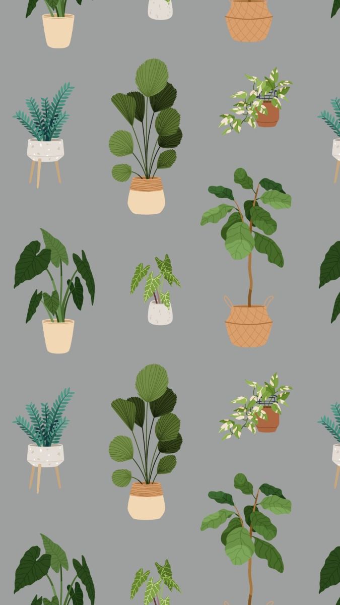 Houseplants Wallpaper For Plant Lovers