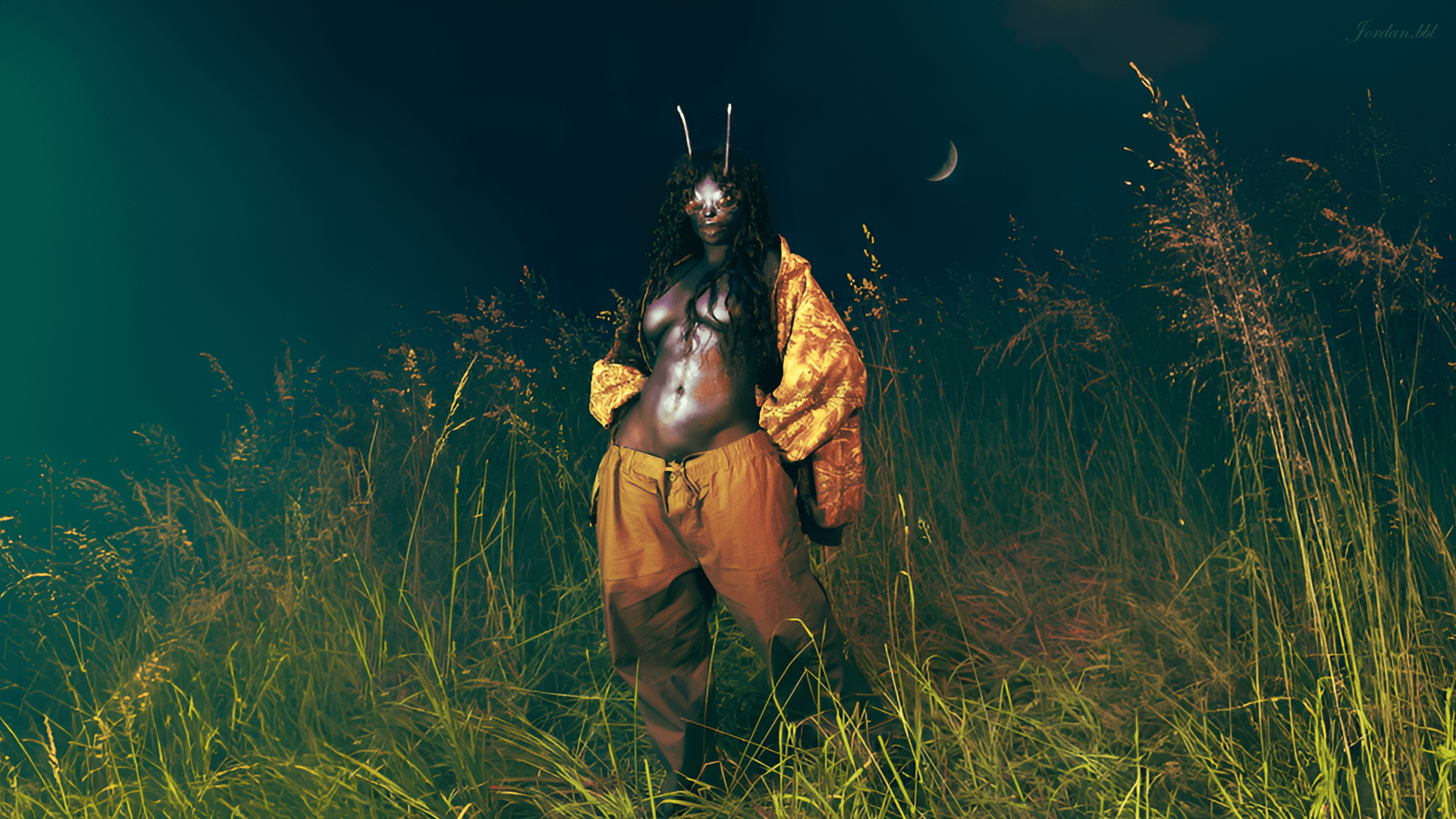 LANA wallpaper for your computer