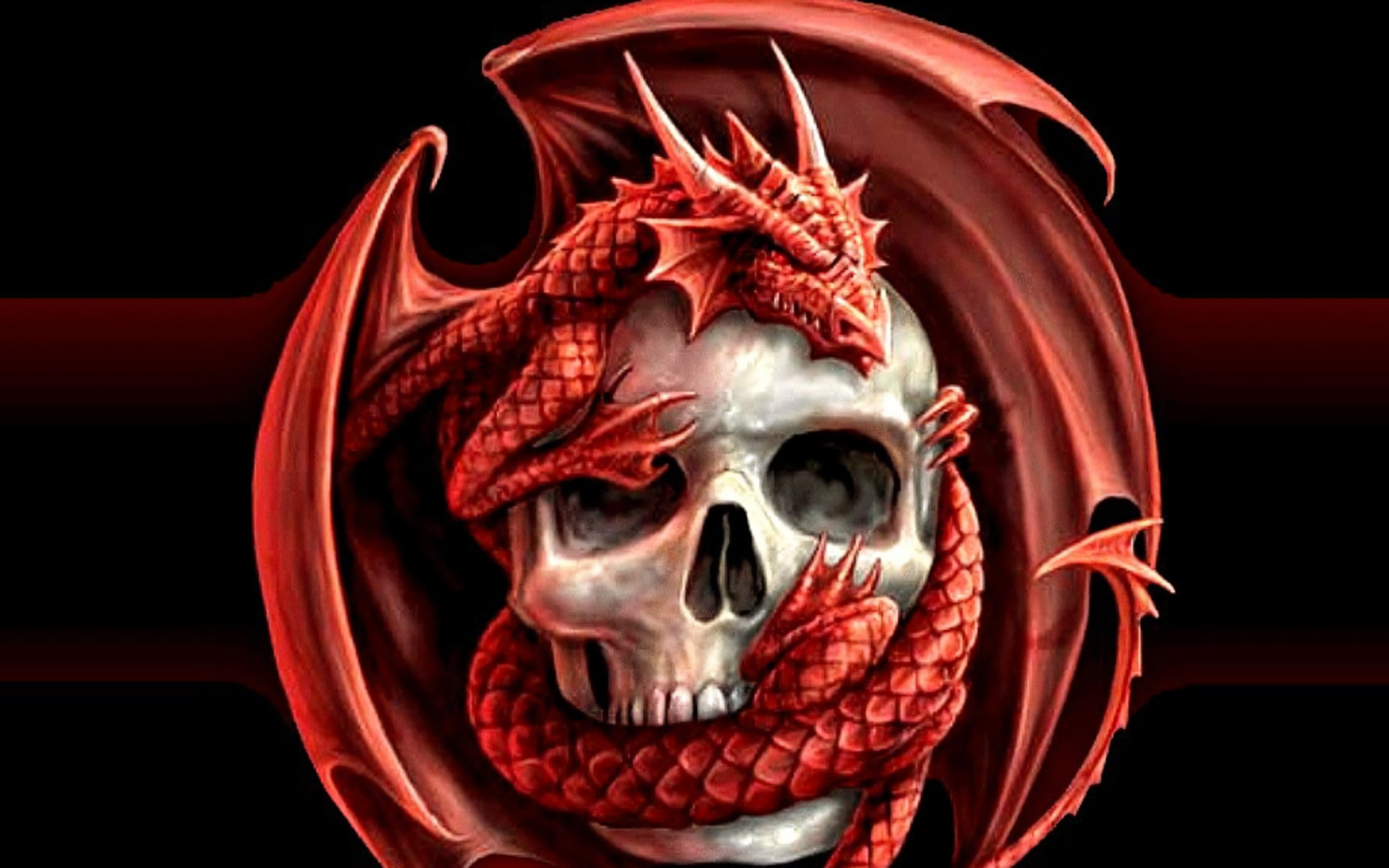Fire Dragon Skull HD