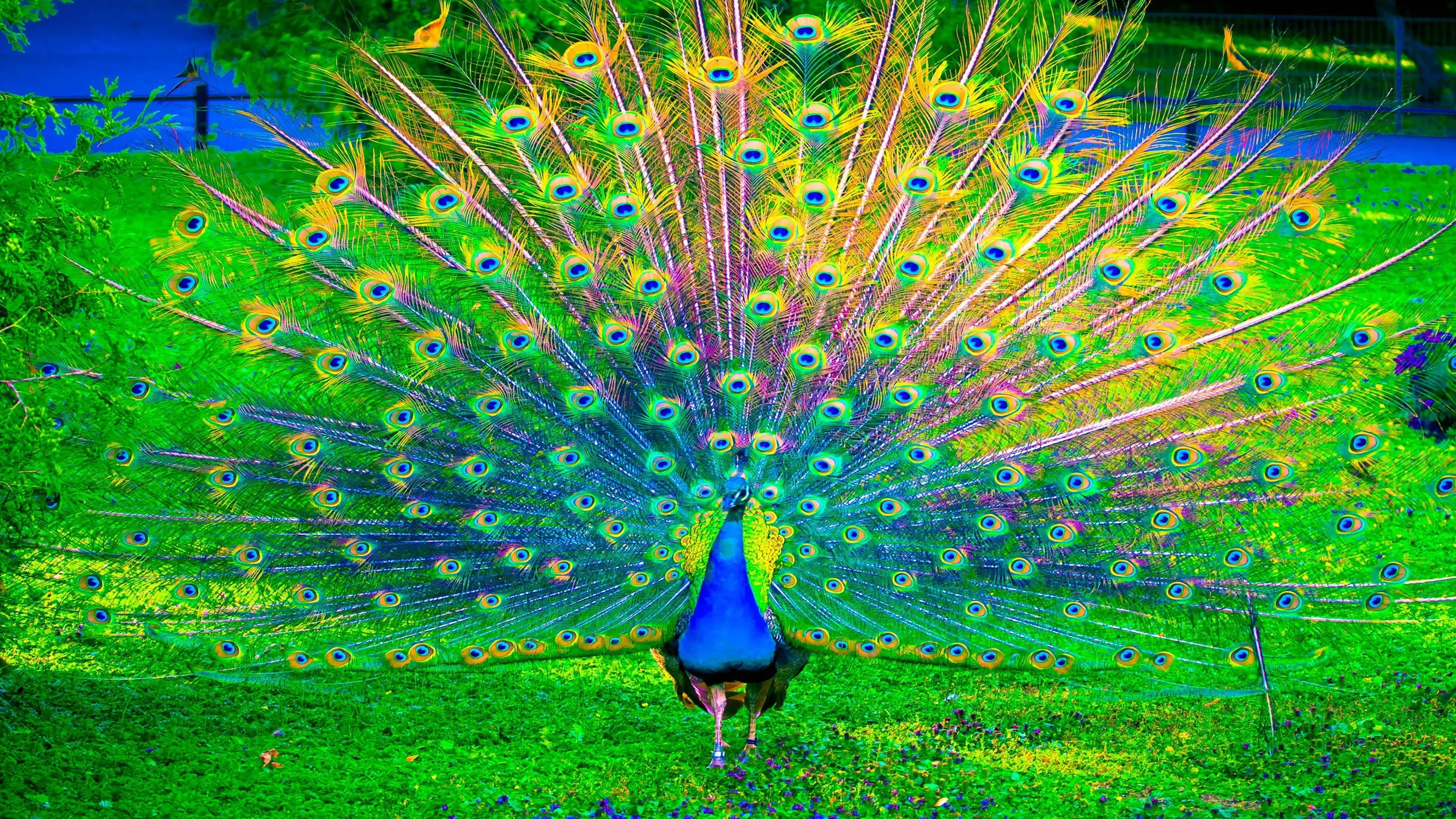 3D Beautiful Live Wallpaper on Google Play