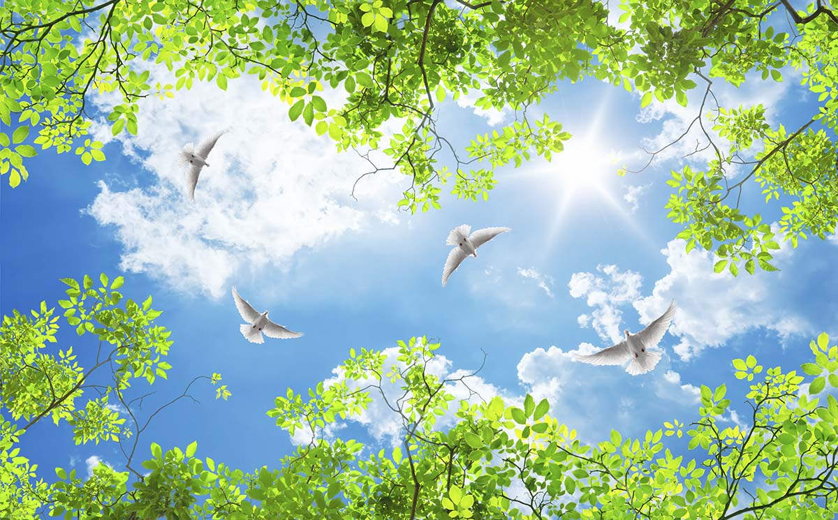 Buy 3D Ceiling Area Wallpaper Online At