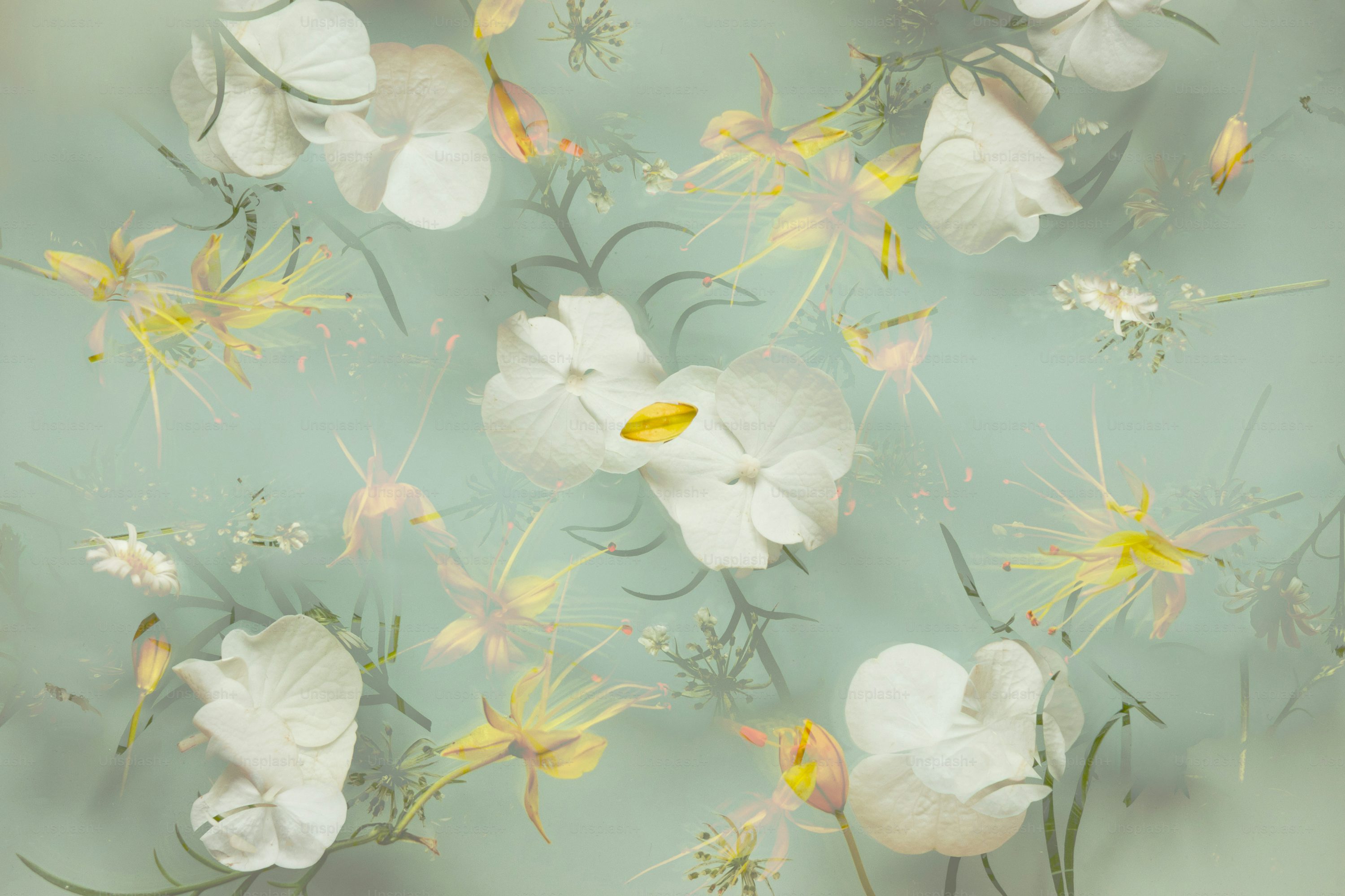 Pastel Wallpaper: Free HD Download [4K]