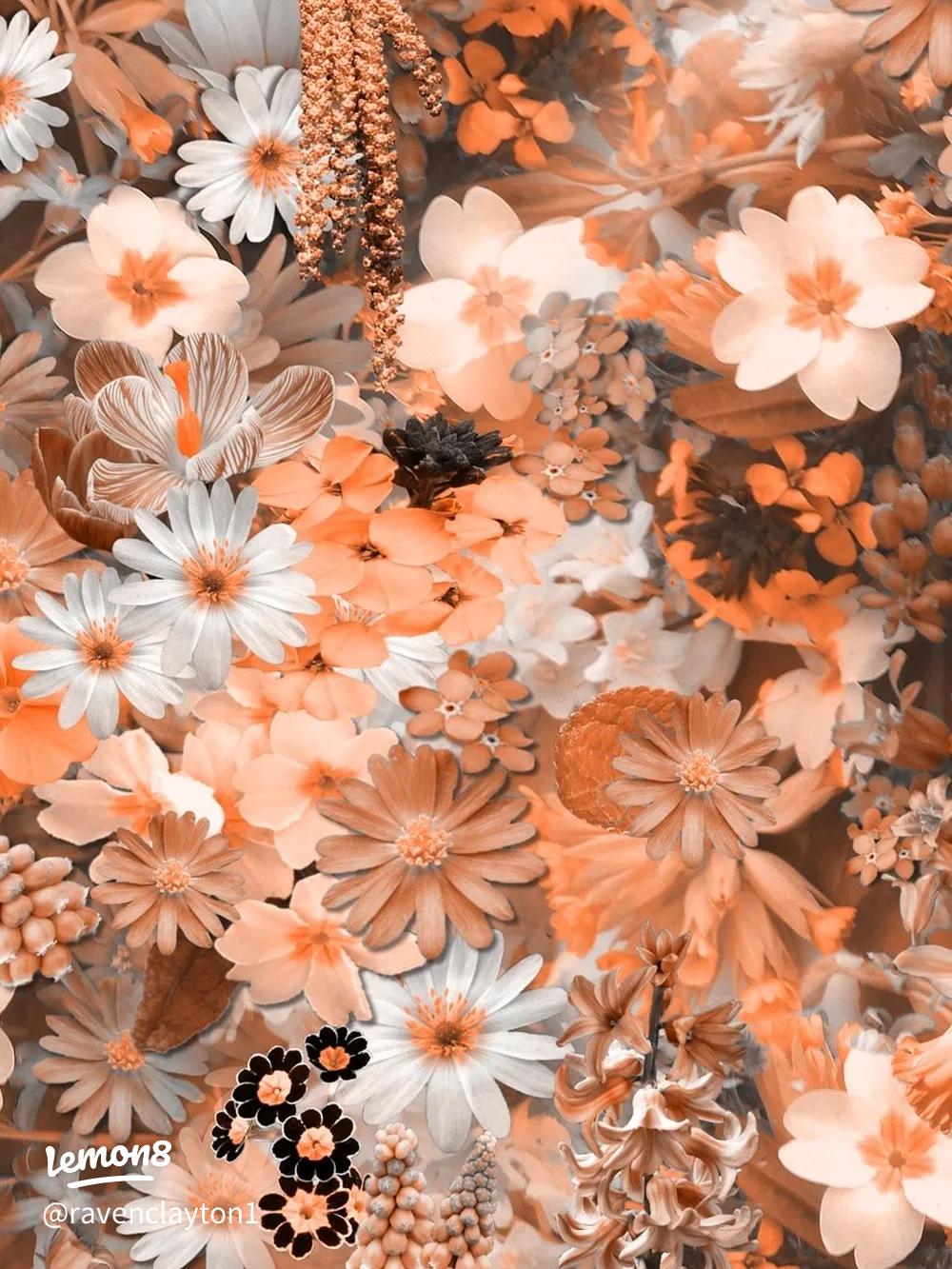 Stunning Flower Wallpaper for Your Devices