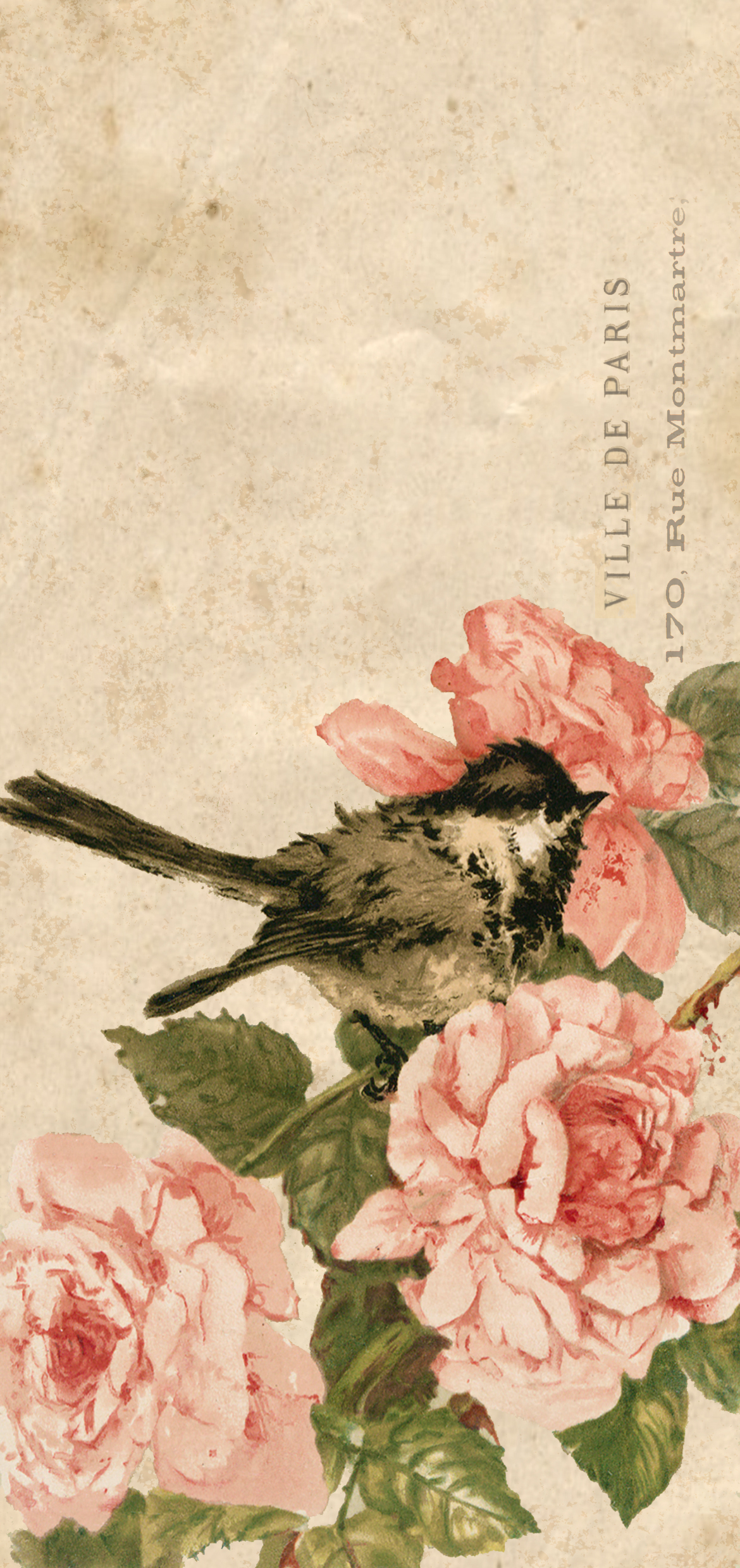 Free Spring Wallpaper for iPhones