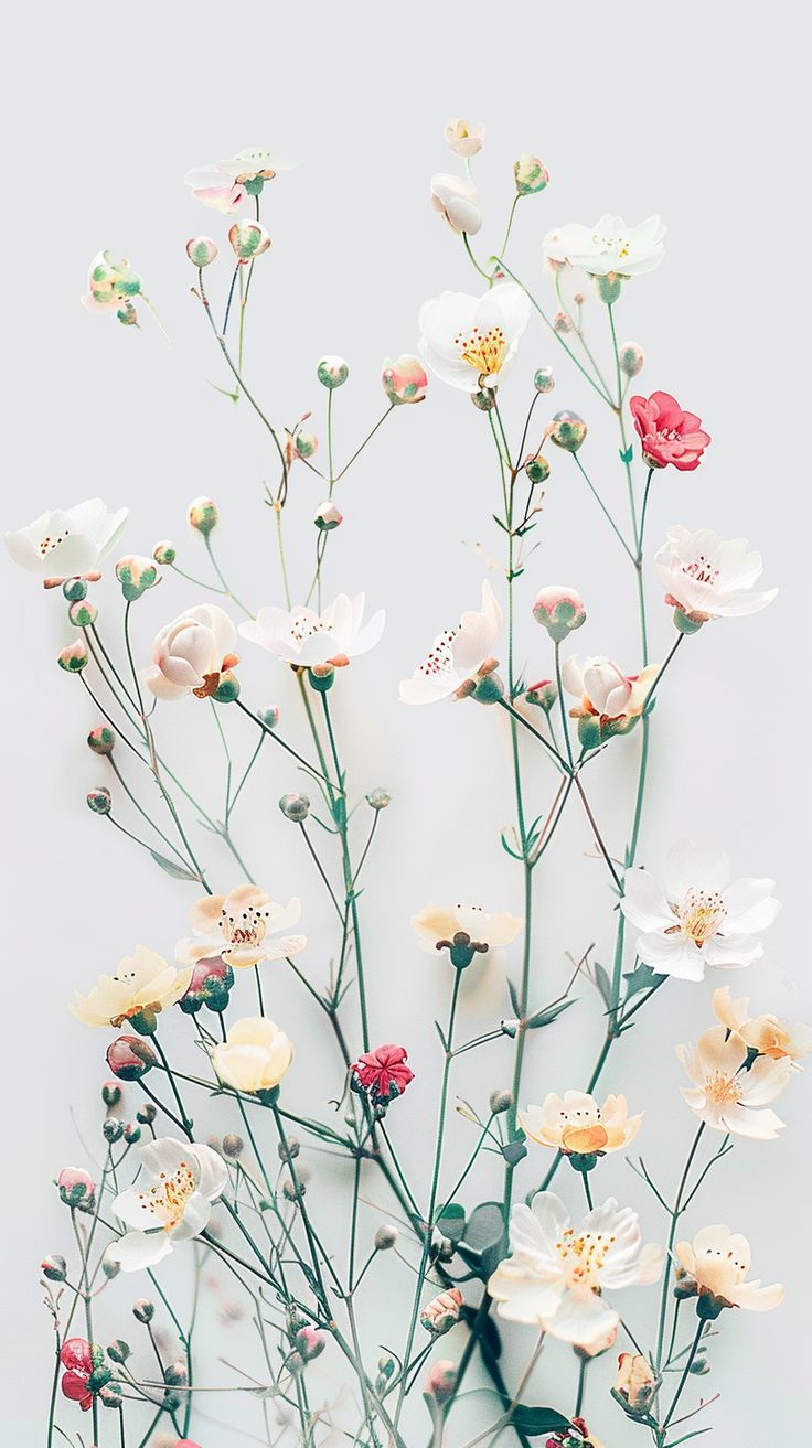 Spring Phone Wallpaper With Seasonal Vibes