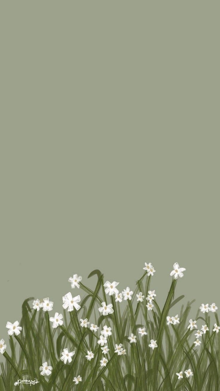 cute #wallpaper#green #greencore #flower