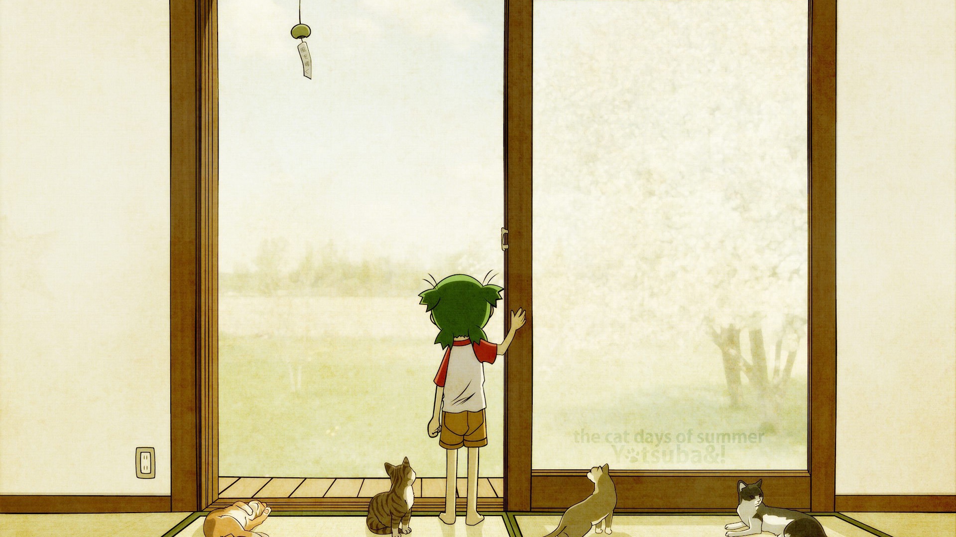 Desktop wallpaper 1920x1080