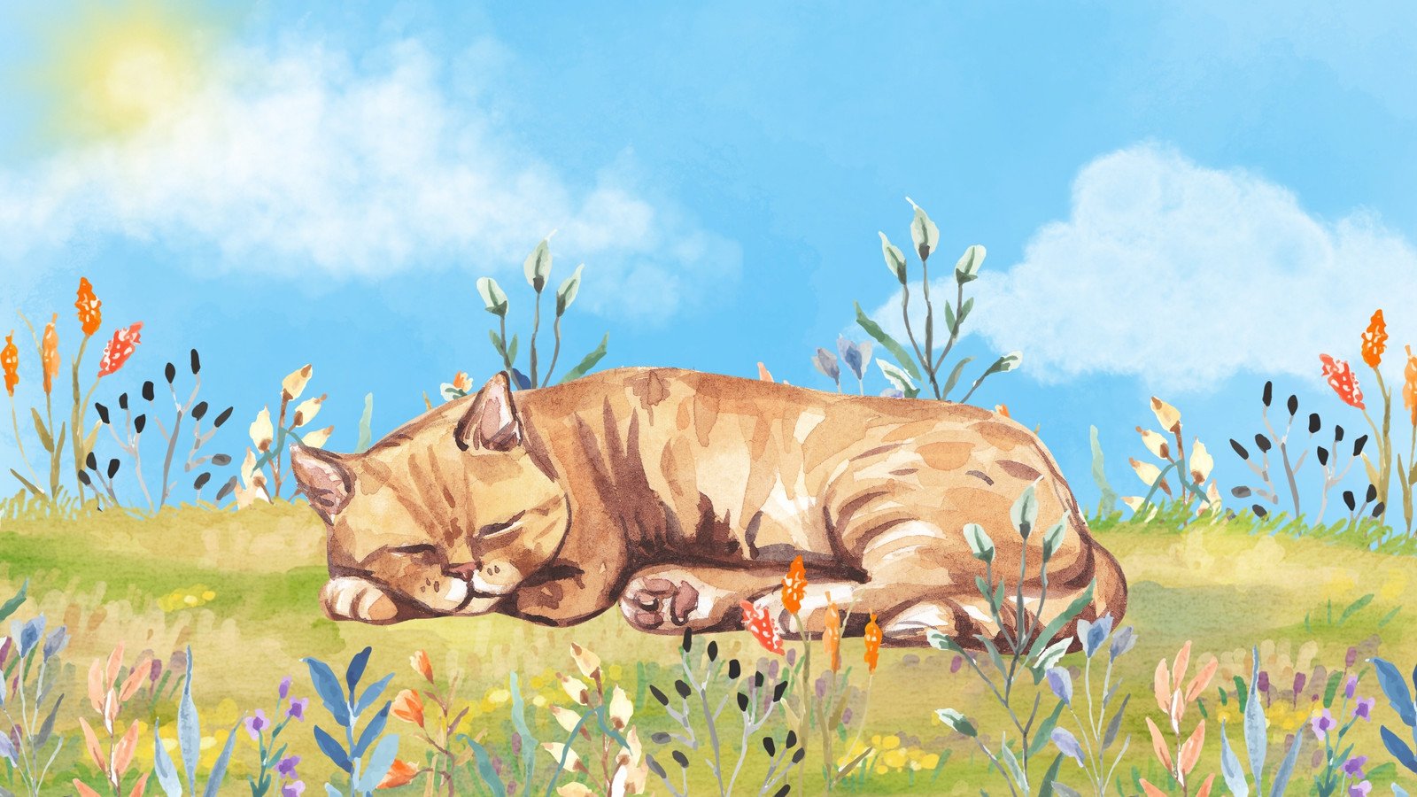 Cat Desktop Wallpaper Online