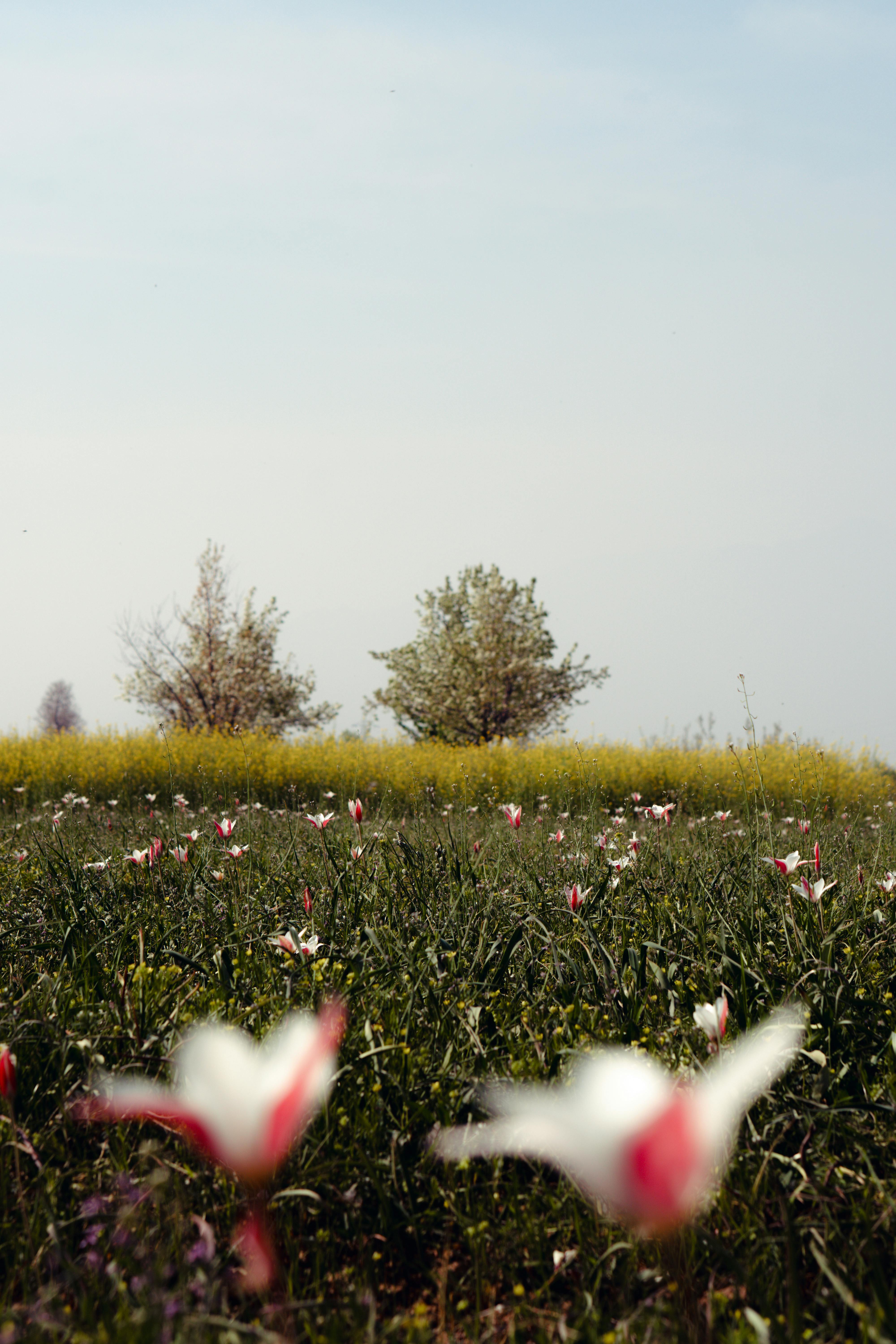 6k Wallpaper Photo, Download The BEST