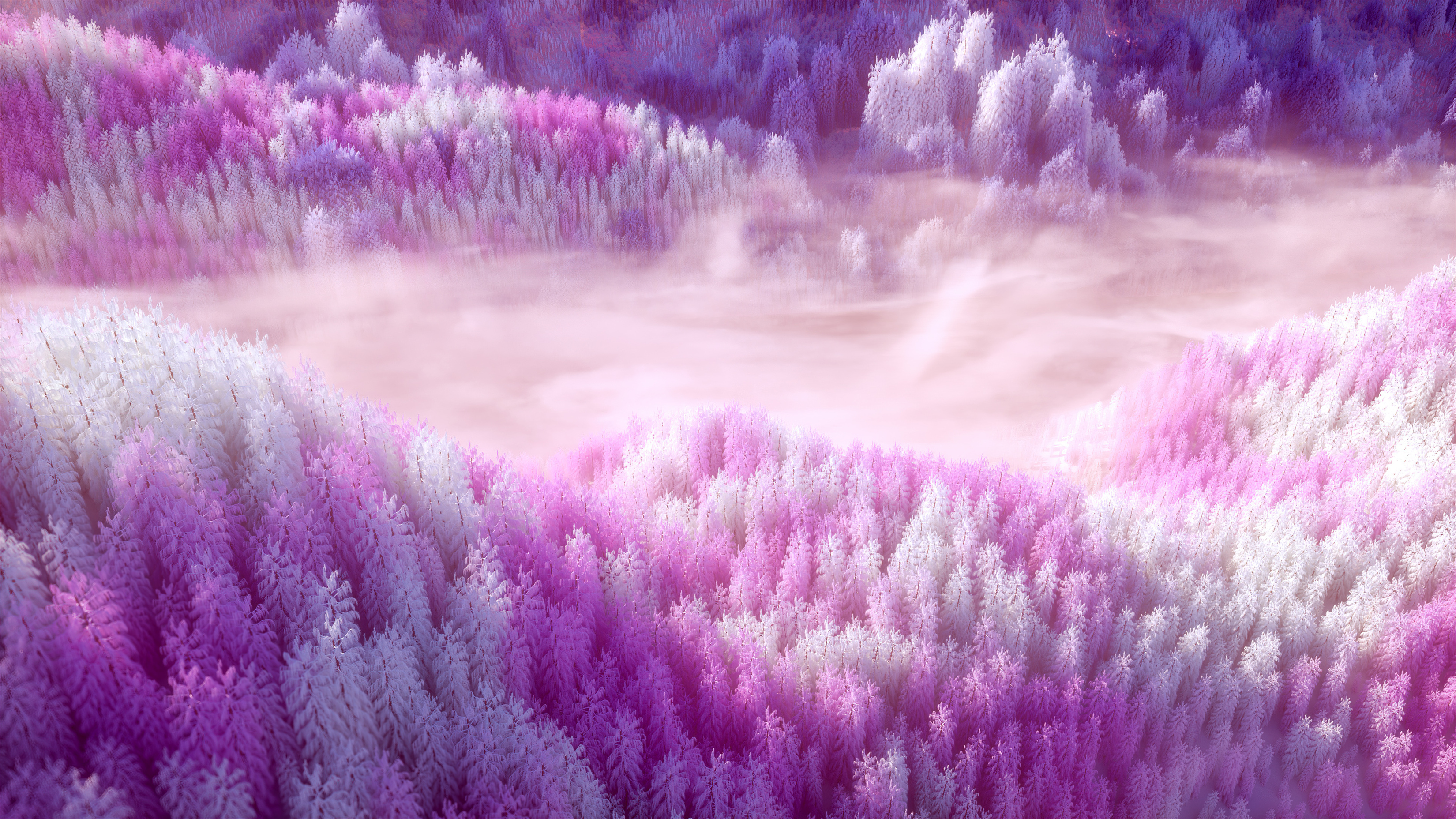 Most Popular 4K 6K Wallpaper —