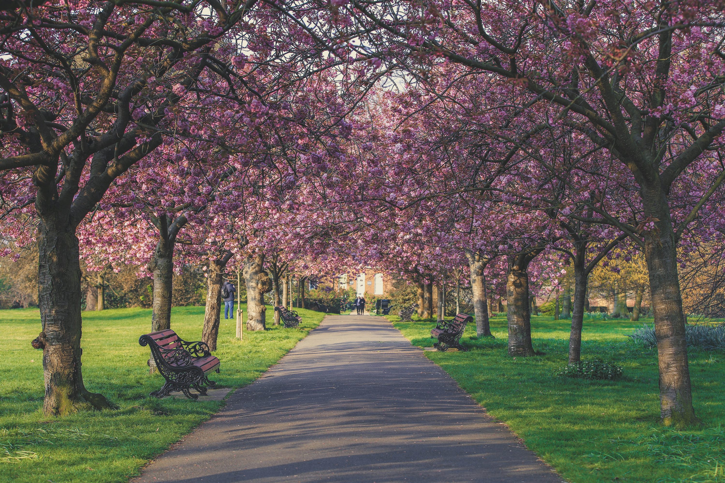London Spring Picture. Download Free