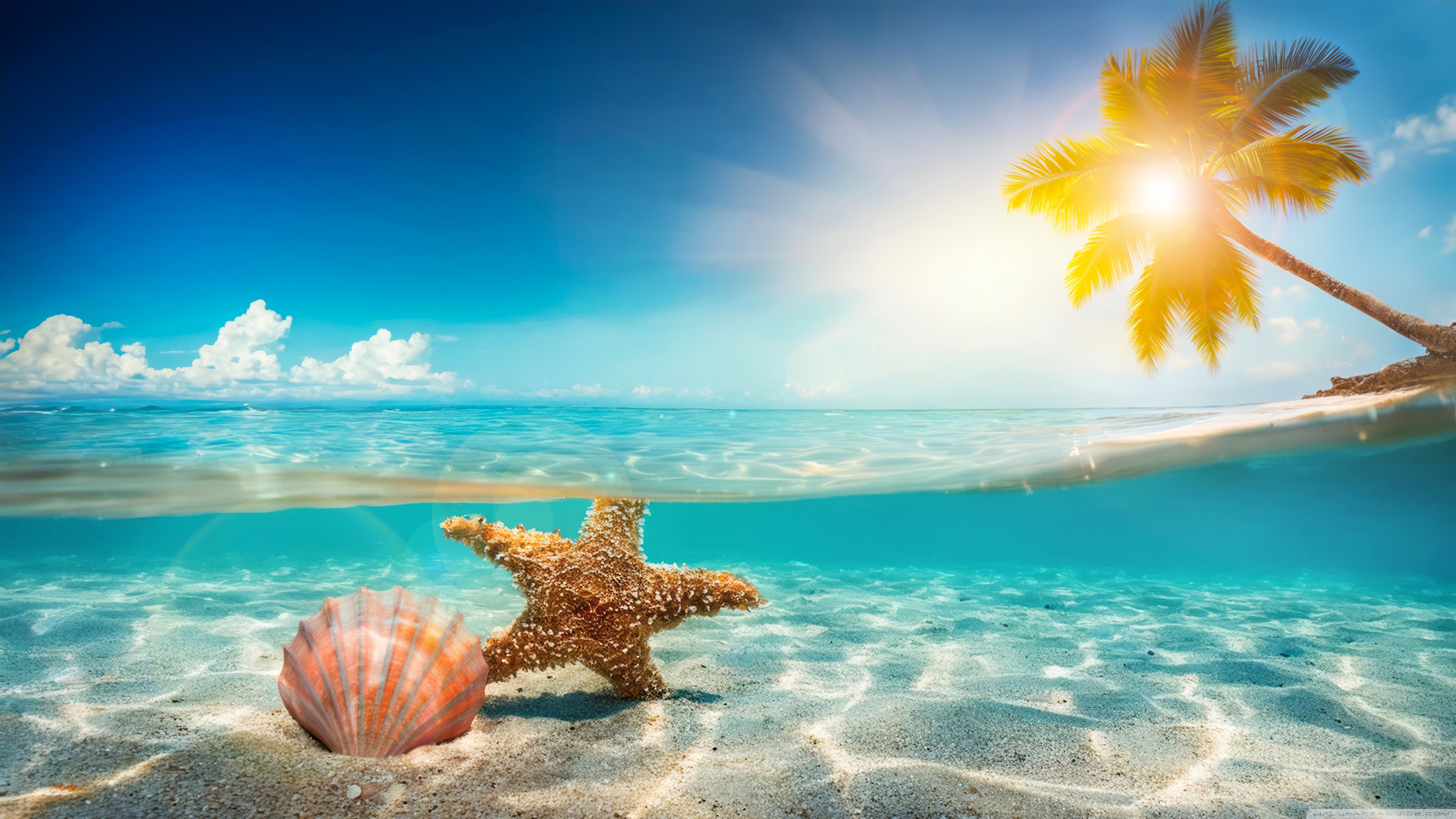 Hot Summer, Tropical Beach 4K UHD