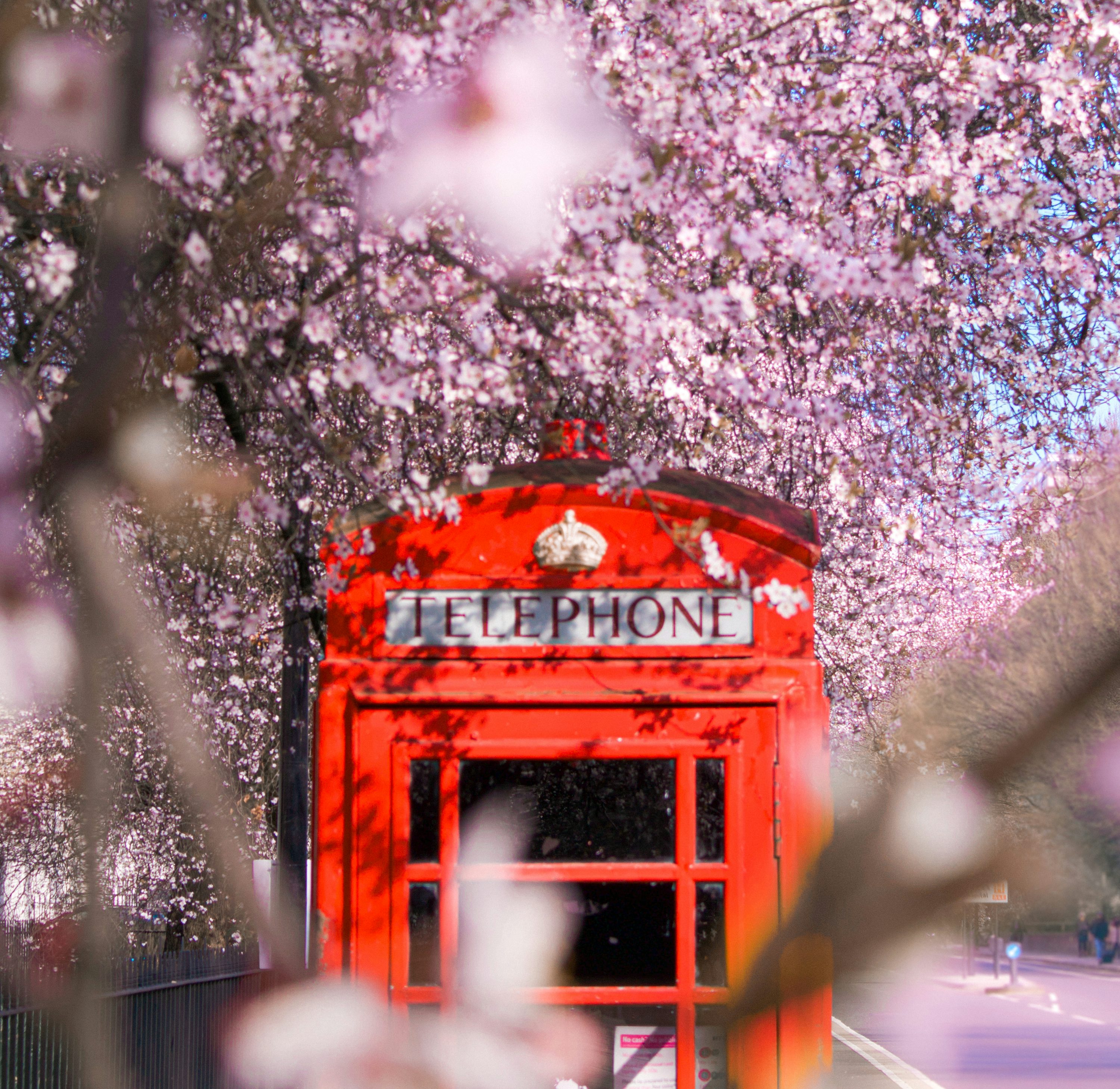 London Spring Picture. Download Free