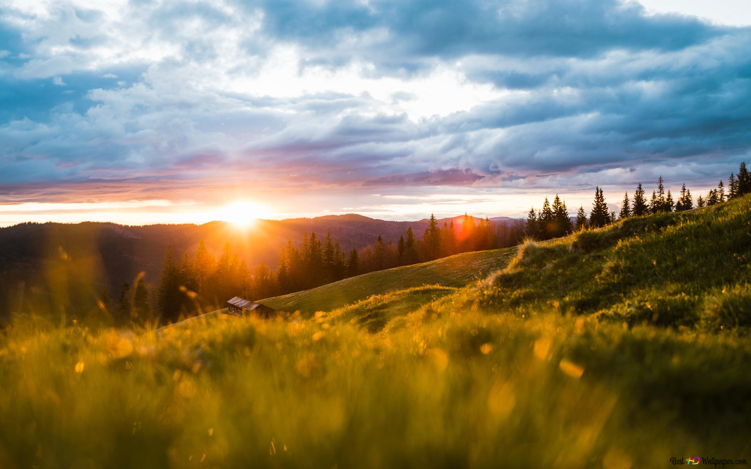 Beautiful Sunrise view 4K wallpaper