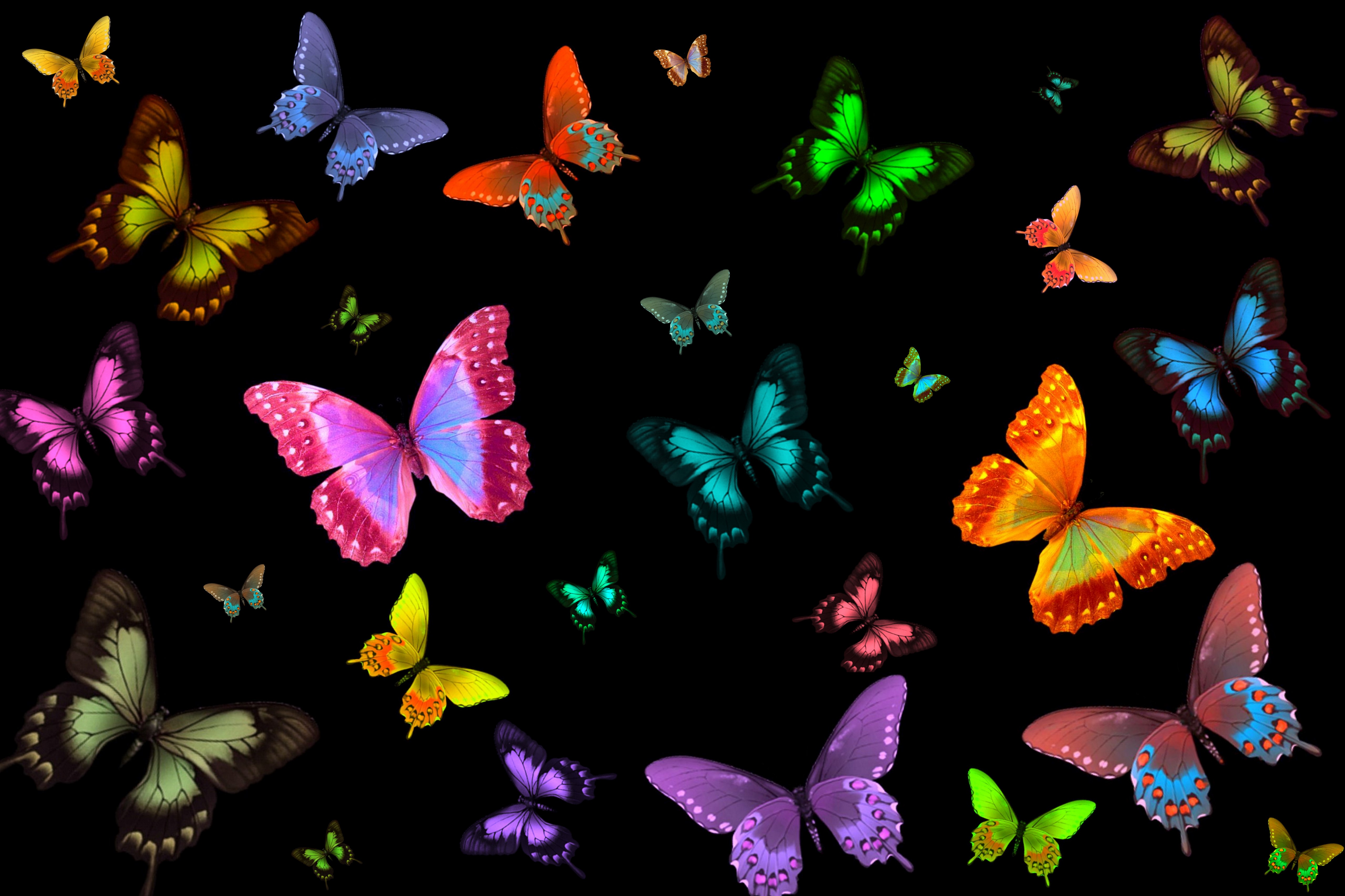 Colorful Butterfly Dreams: A 4K Ultra