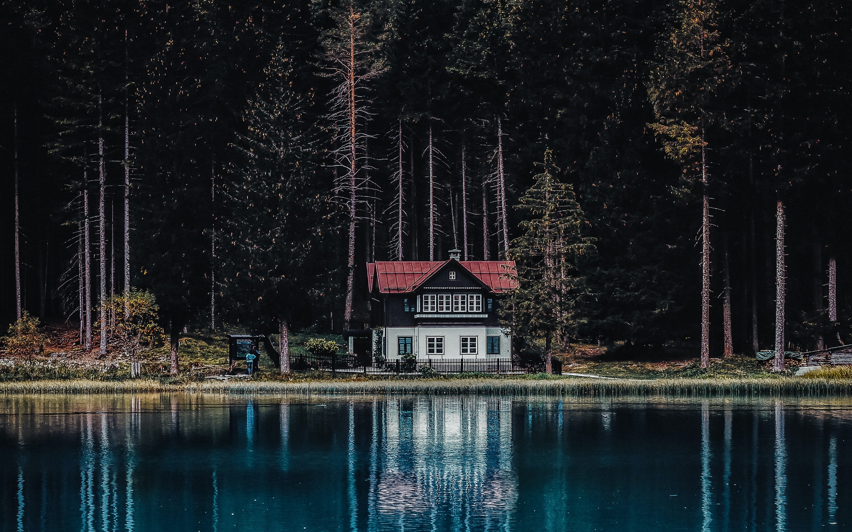Dark Forest Wallpaper 4K, House, Tall Trees, Woods, Lake