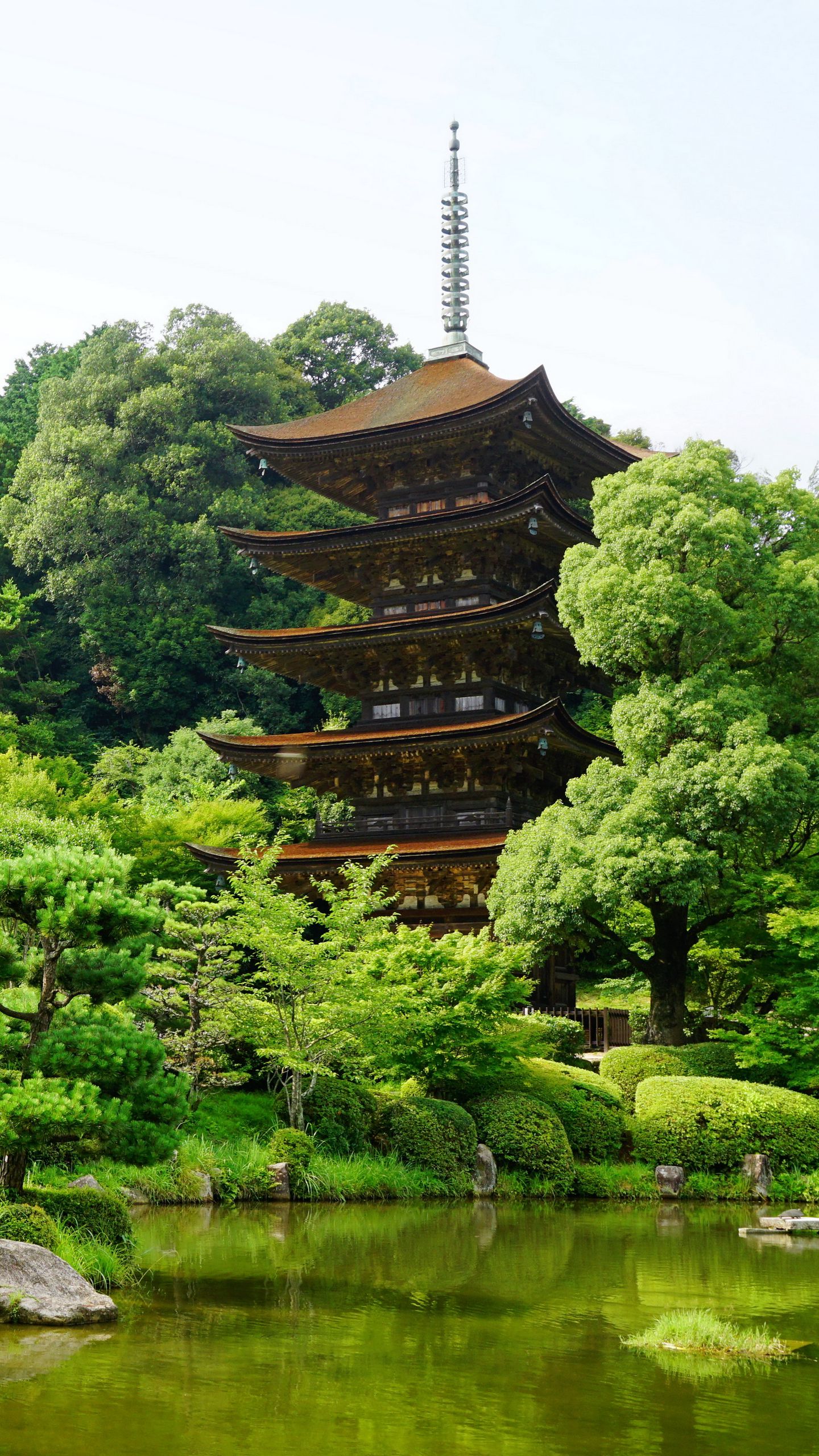 Download wallpaper 1440x2560 japan