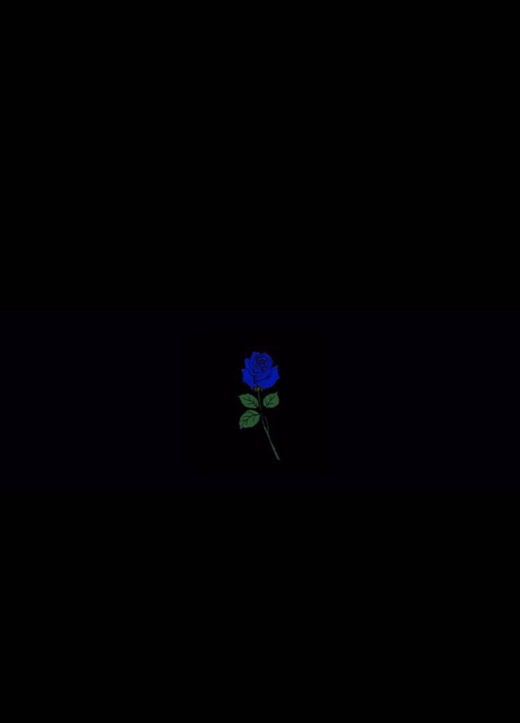 Blue Rose Black Aesthetic Tumblr iPhone
