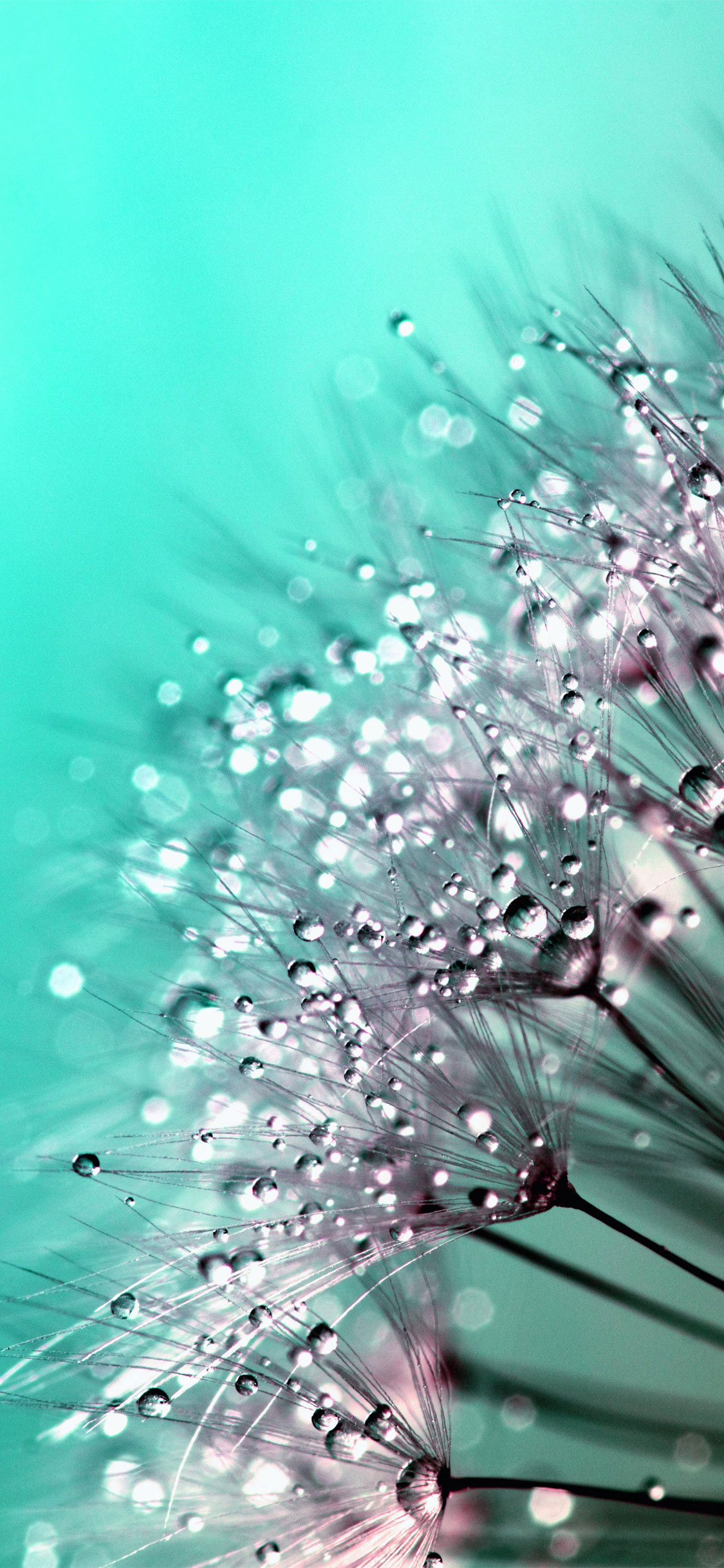 Cool Textures for iPhone X Background