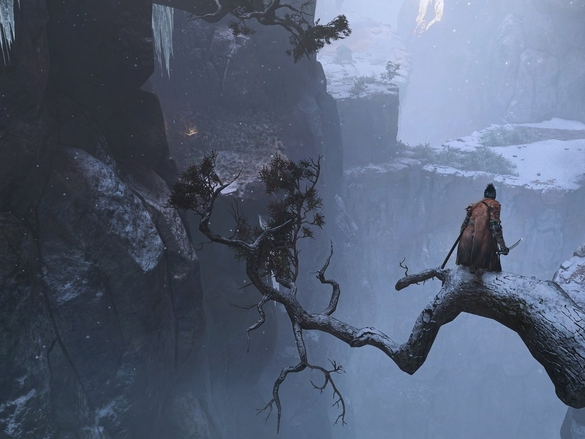 Sekiro: Shadows Die Twice has already