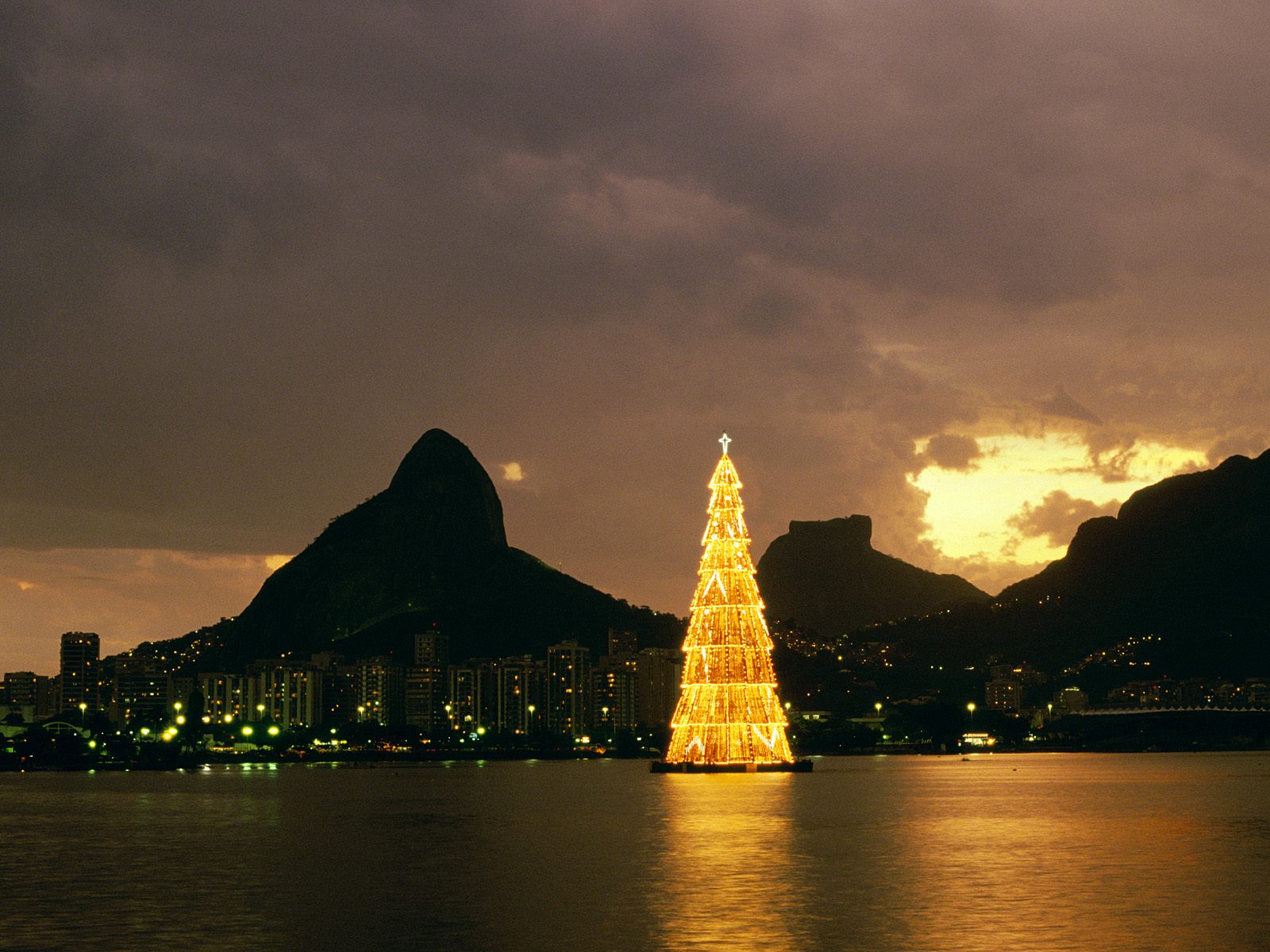 Rio de Janeiro Christmas Tree HD Wallpaper